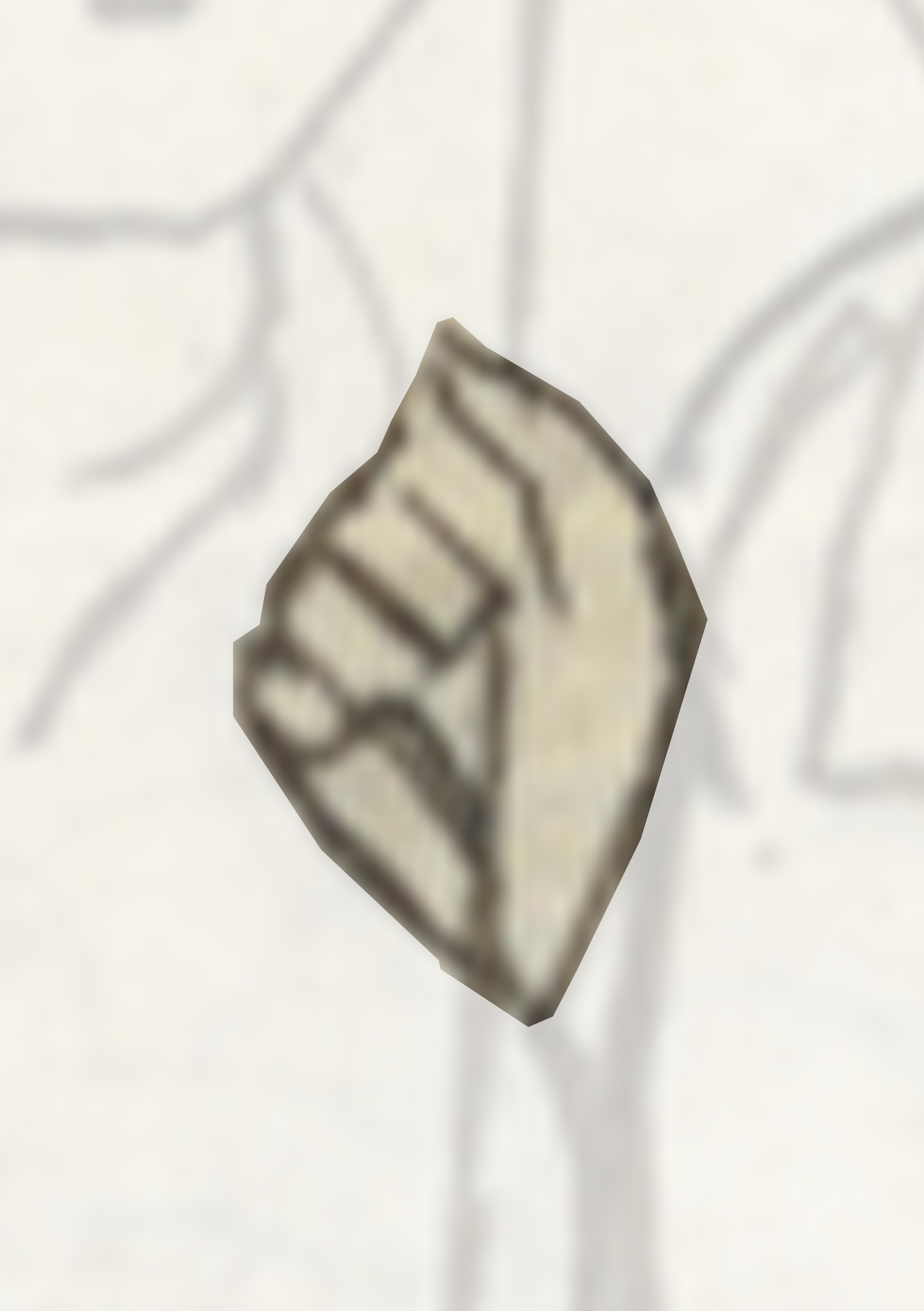 White And Brown Object With A Black And White Pattern