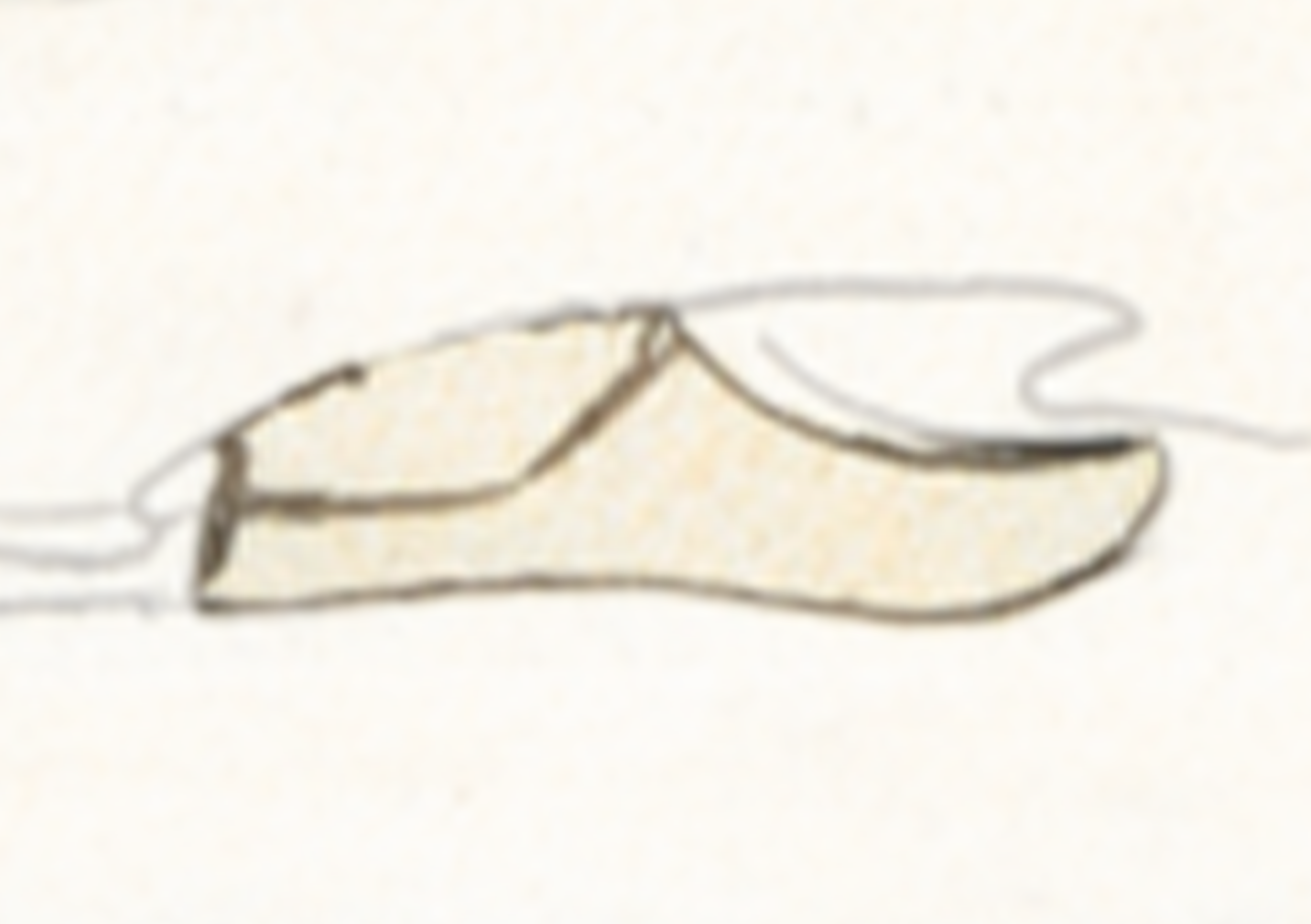 Drawing Of A Shoe