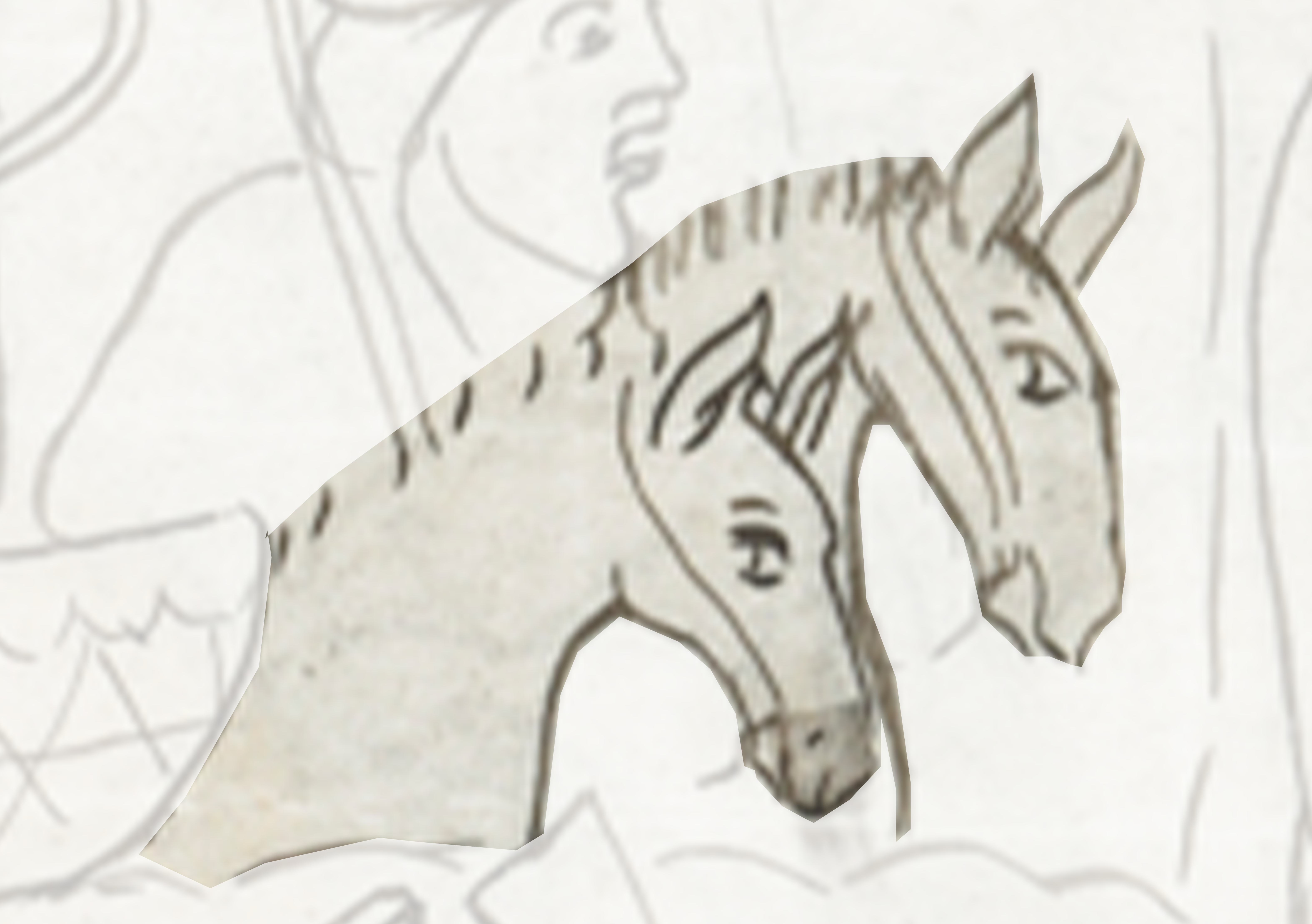 Horse Head With A White Background