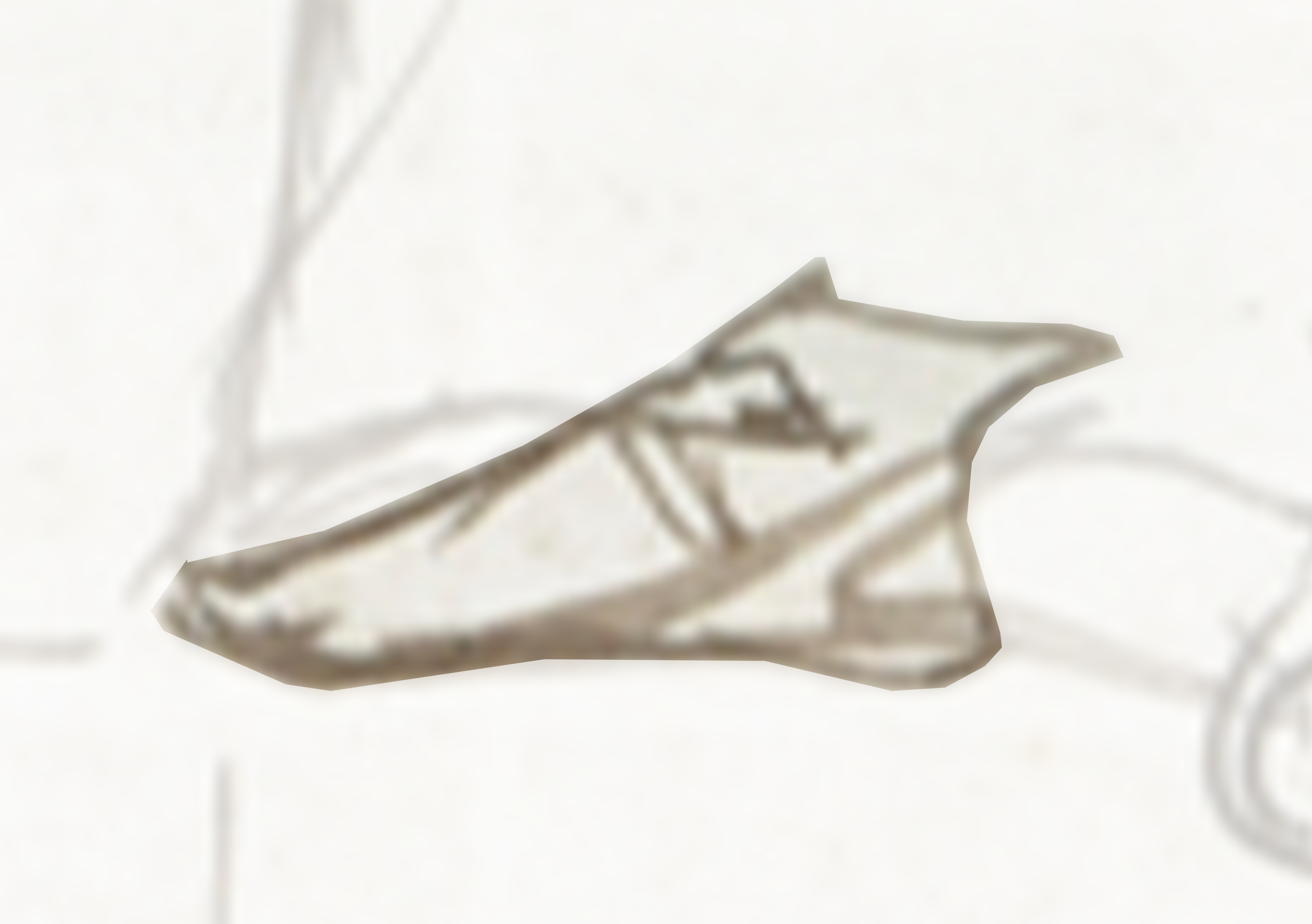 Pair Of Shoes With A White Background