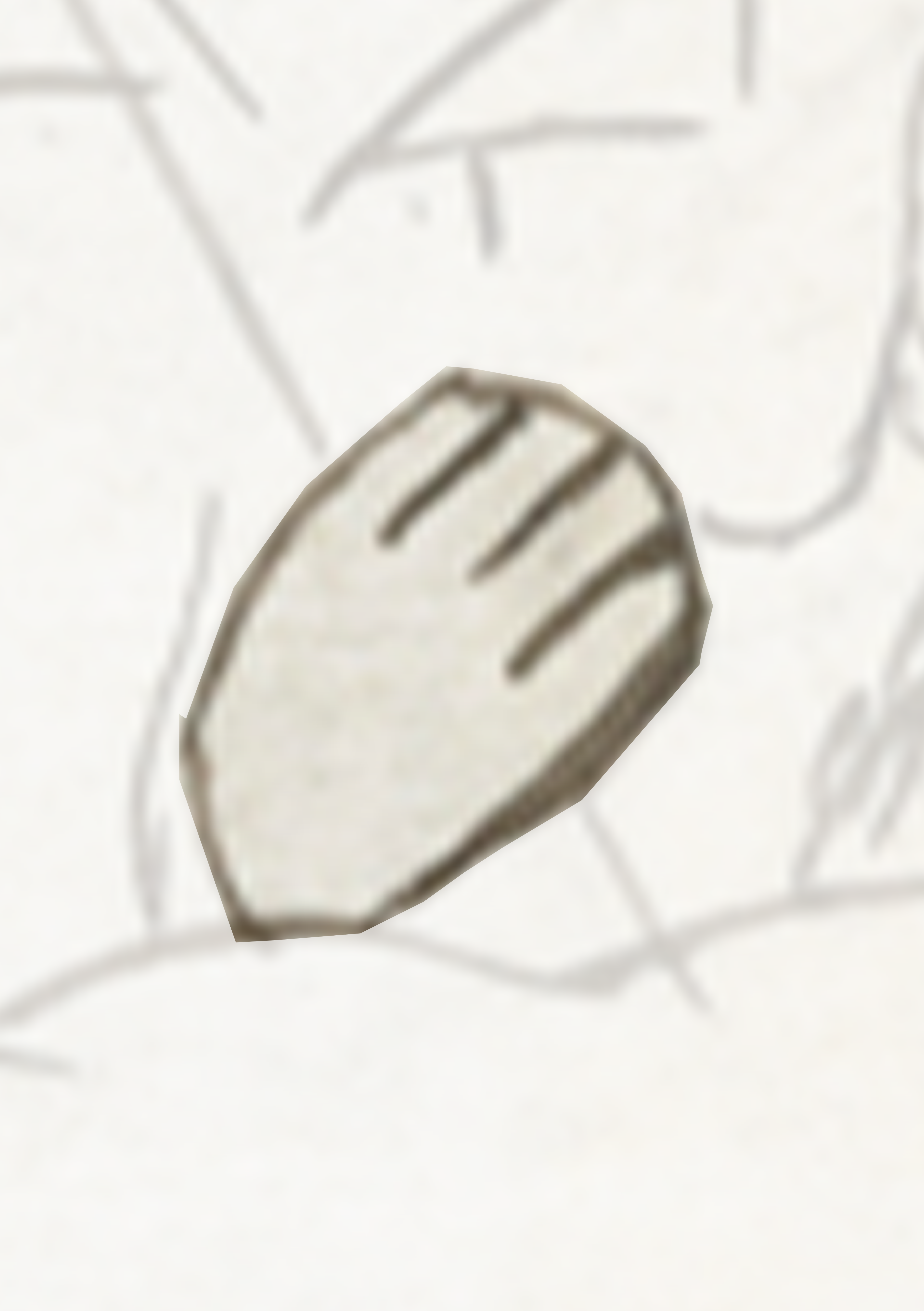 White Background With A Small Leaf