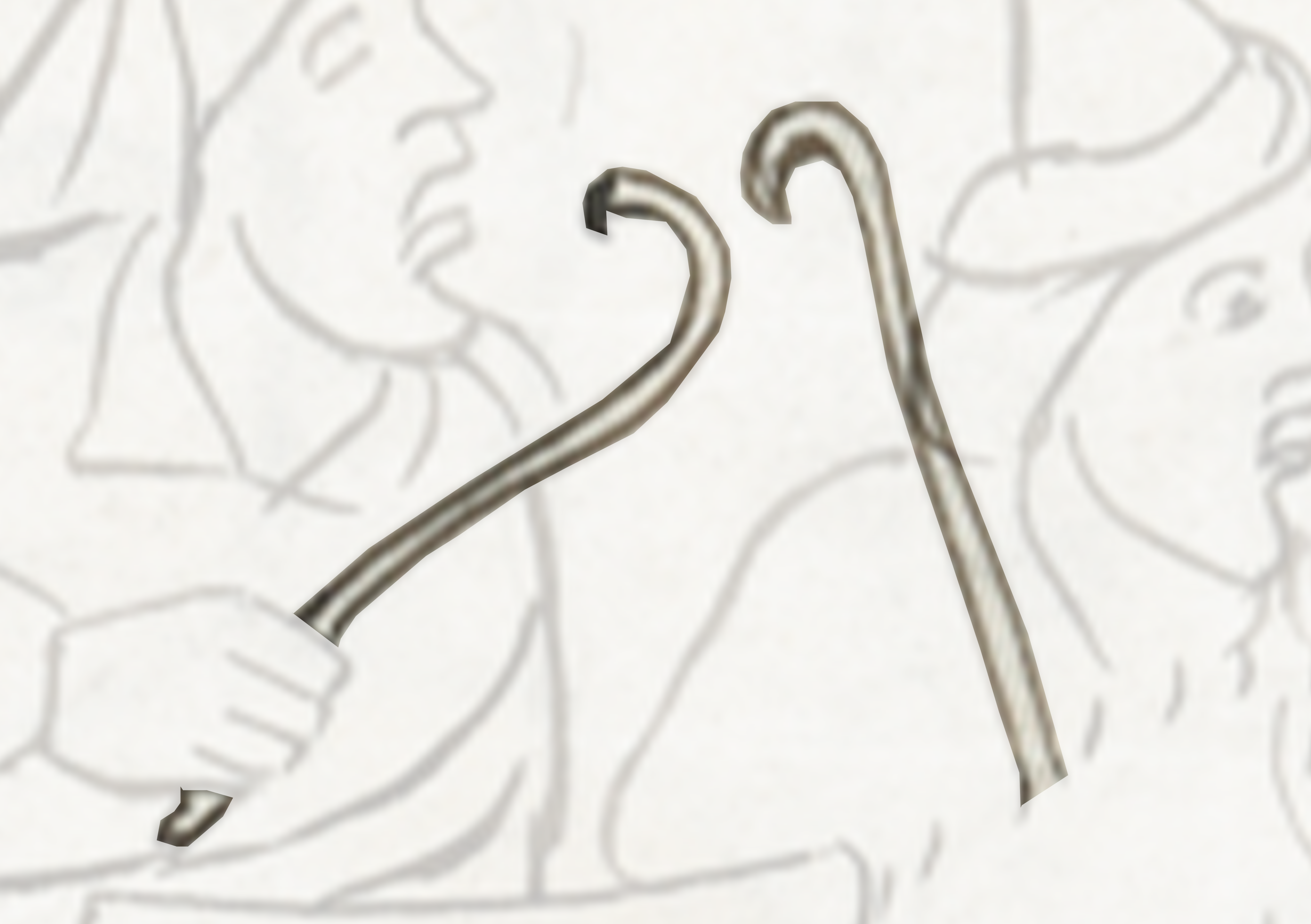 Metal Hook With A Long Handle