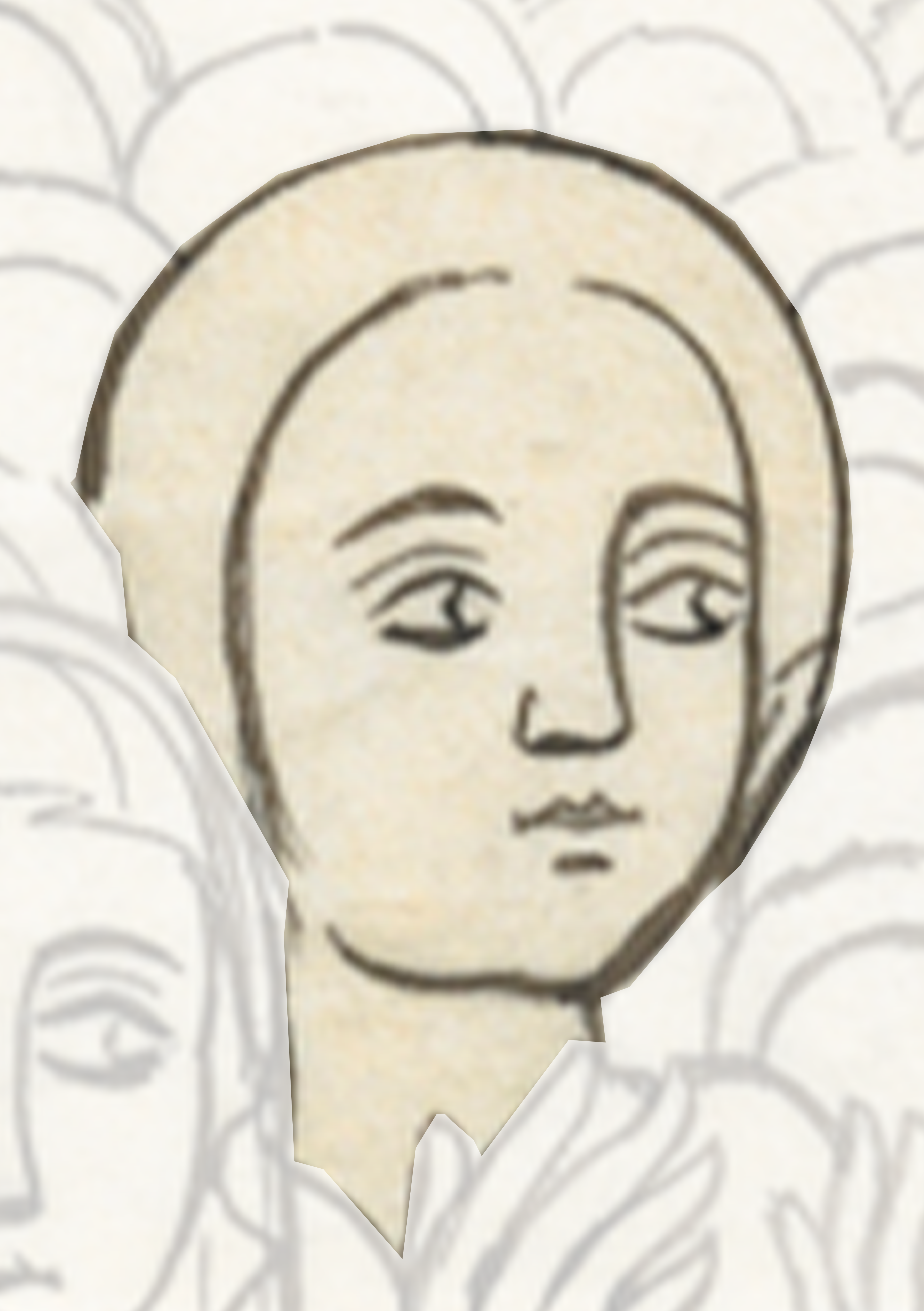 Drawing Of A Woman S Face With A Lot Of Flowers In The Background