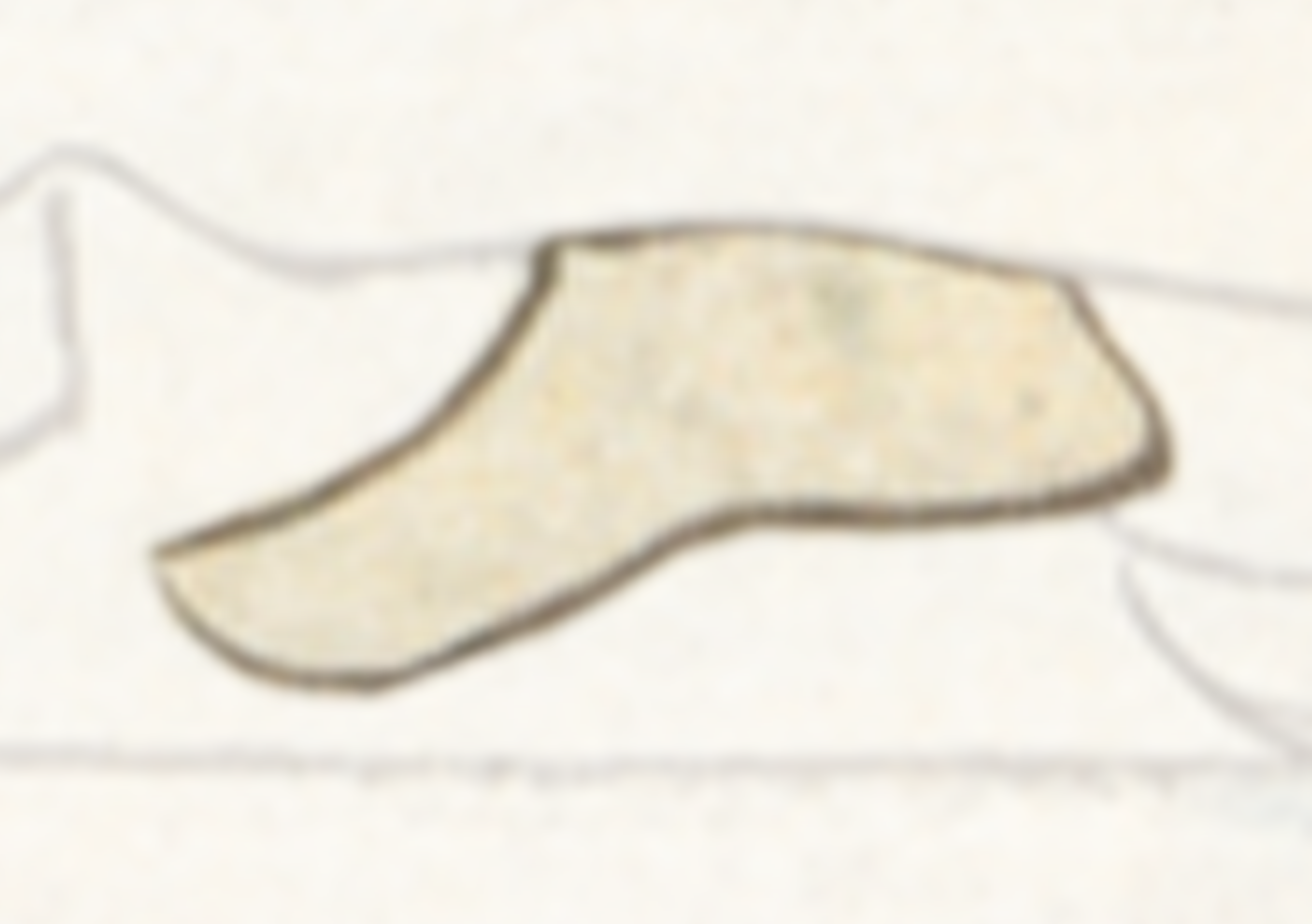 Drawing Of A Cat With A Long Tail
