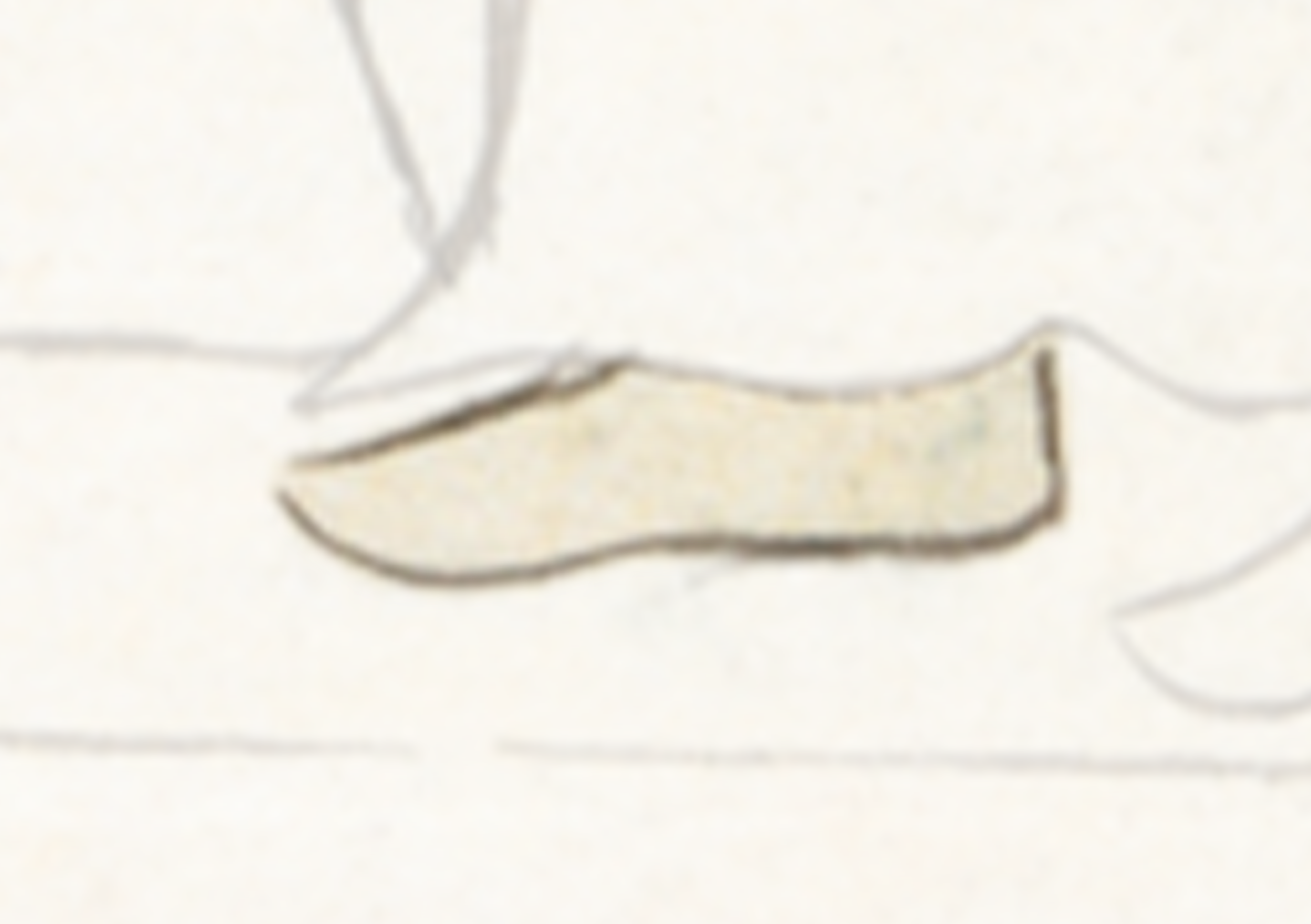 Drawing Of A Shoe With A White Background