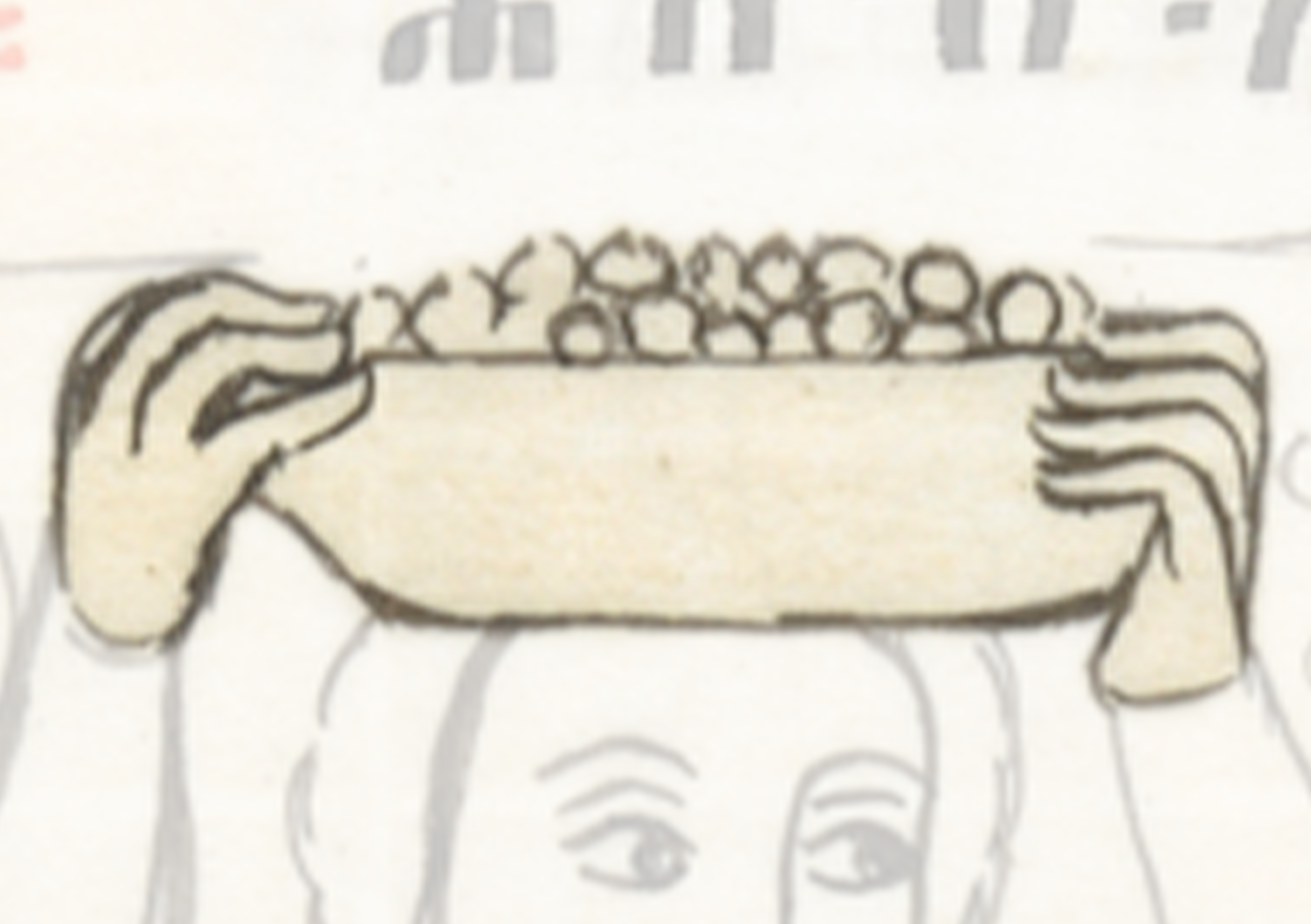 Drawing Of A Woman Holding A Tray Of Food
