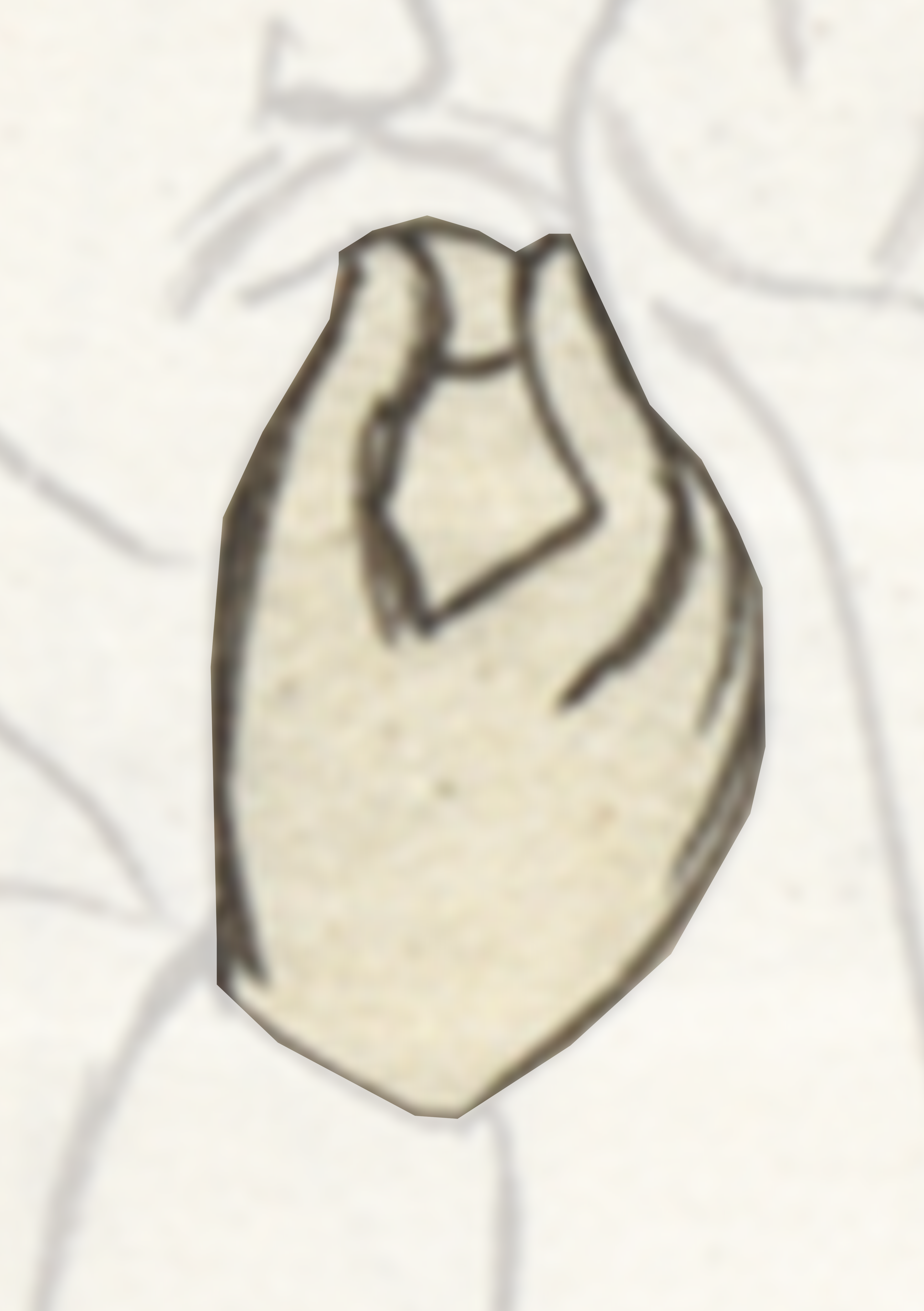 Drawing Of A Man With A Beard