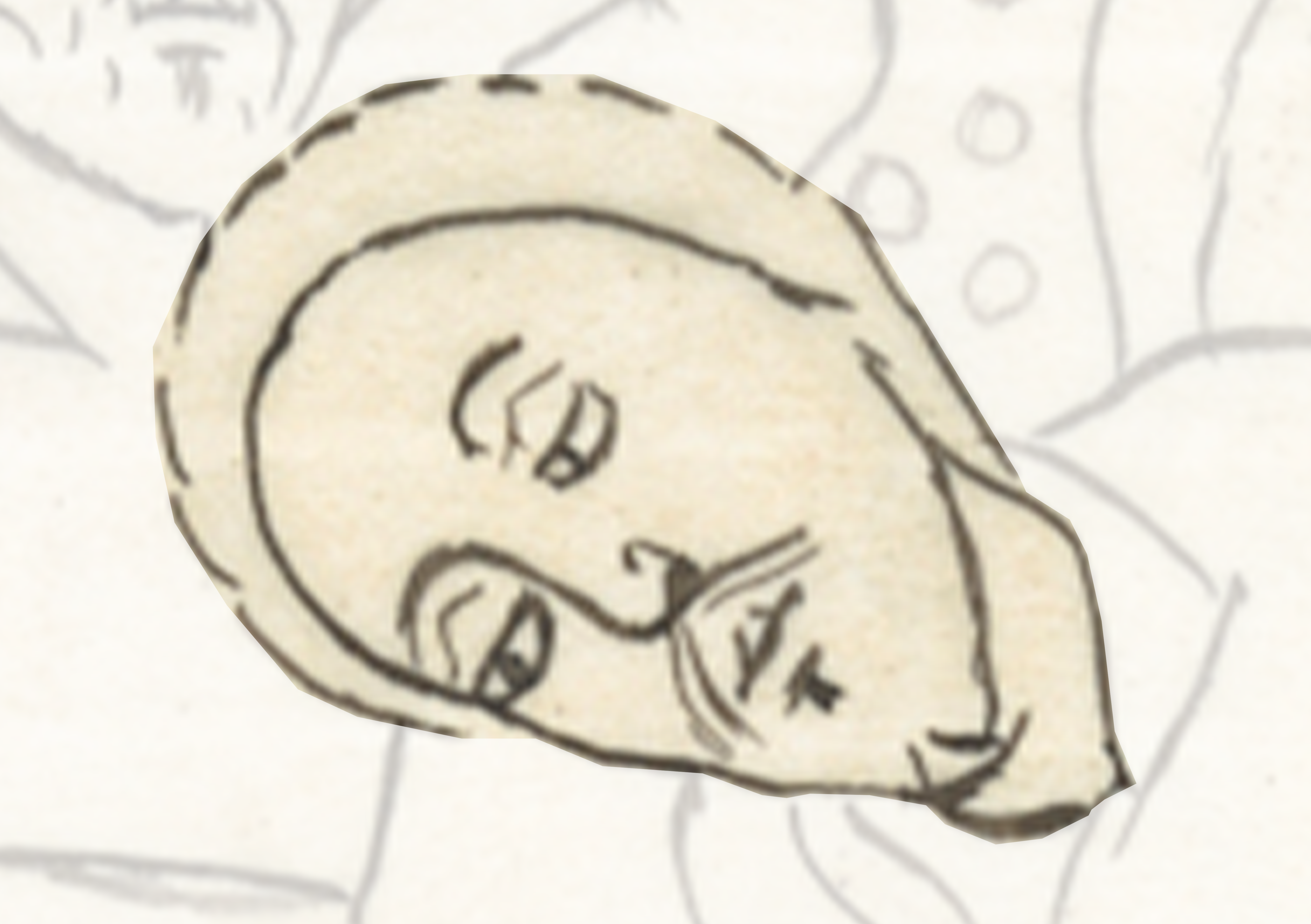 Drawing Of A Man S Face