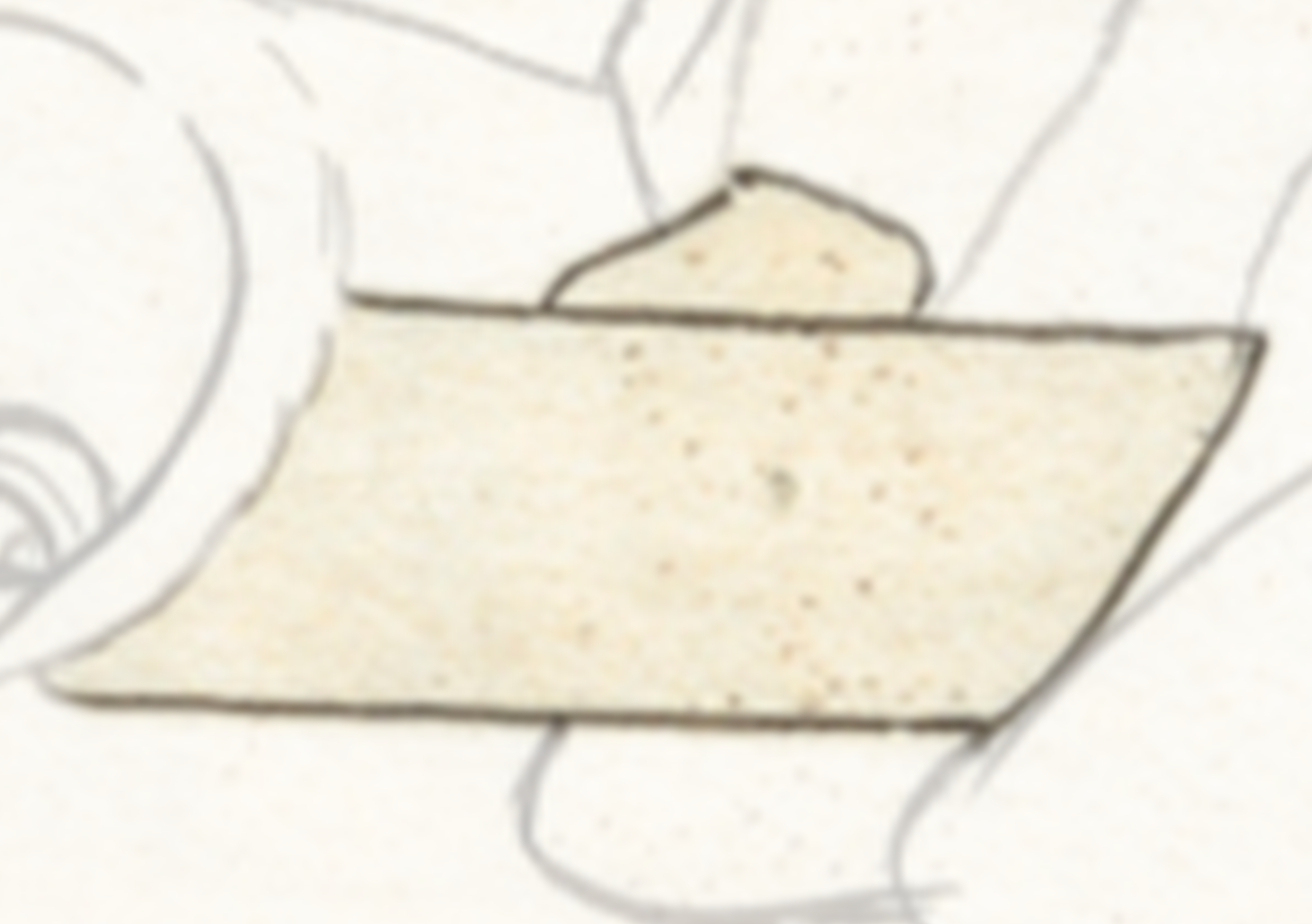 Drawing Of A Hand Holding A Piece Of Paper