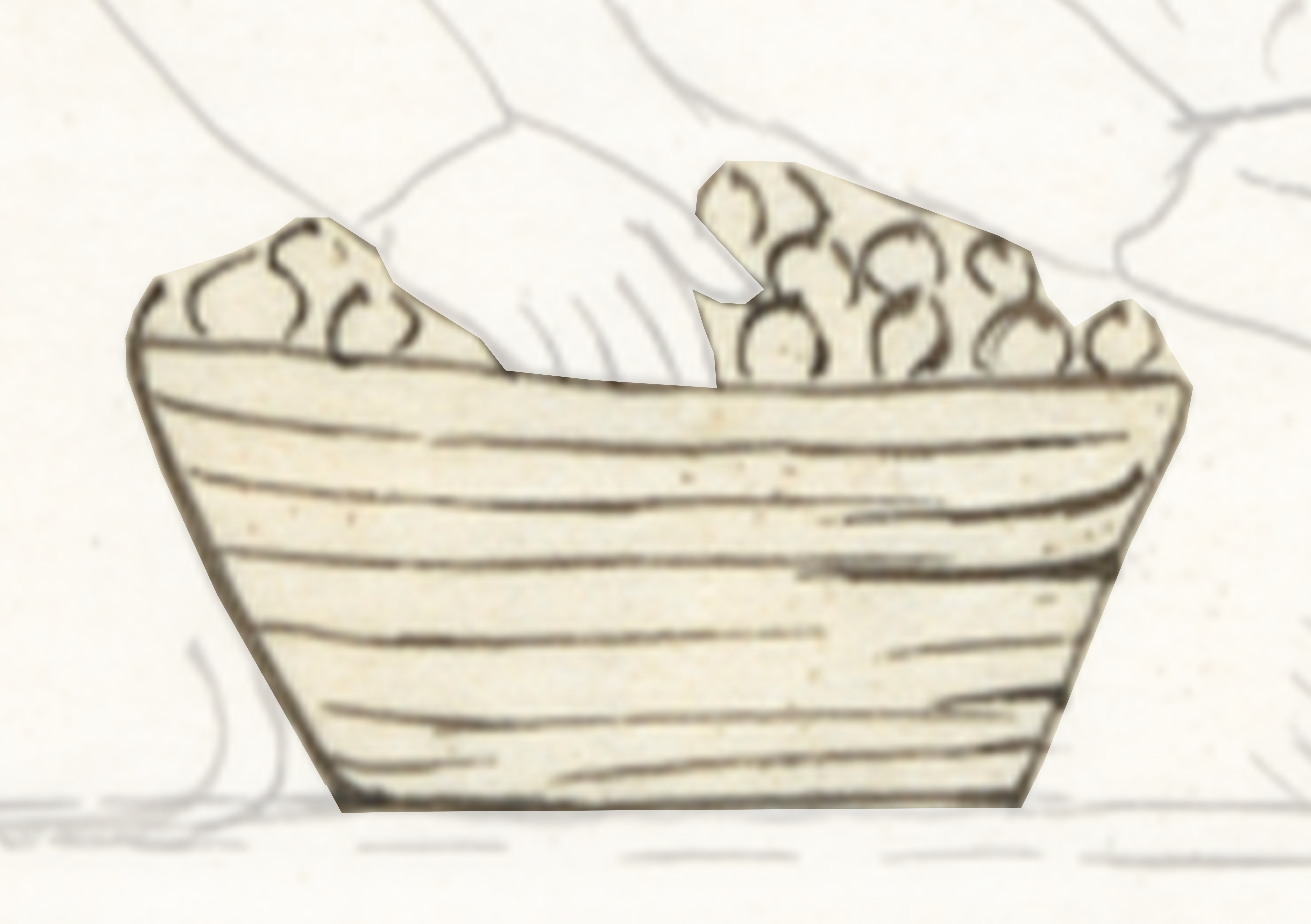 Boat With A Bunch Of Flowers In It