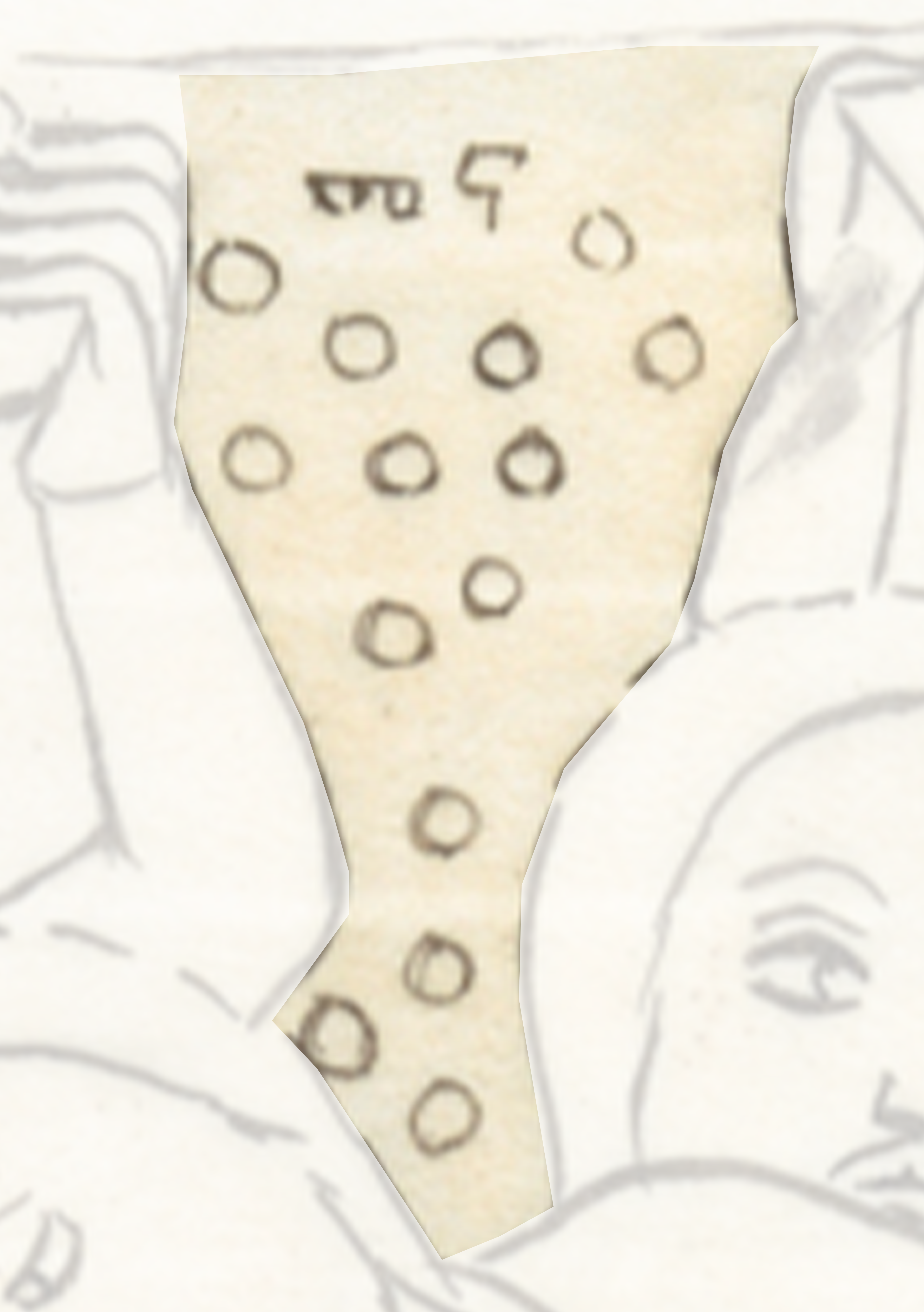 Drawing Of A Man S Face With A Beard