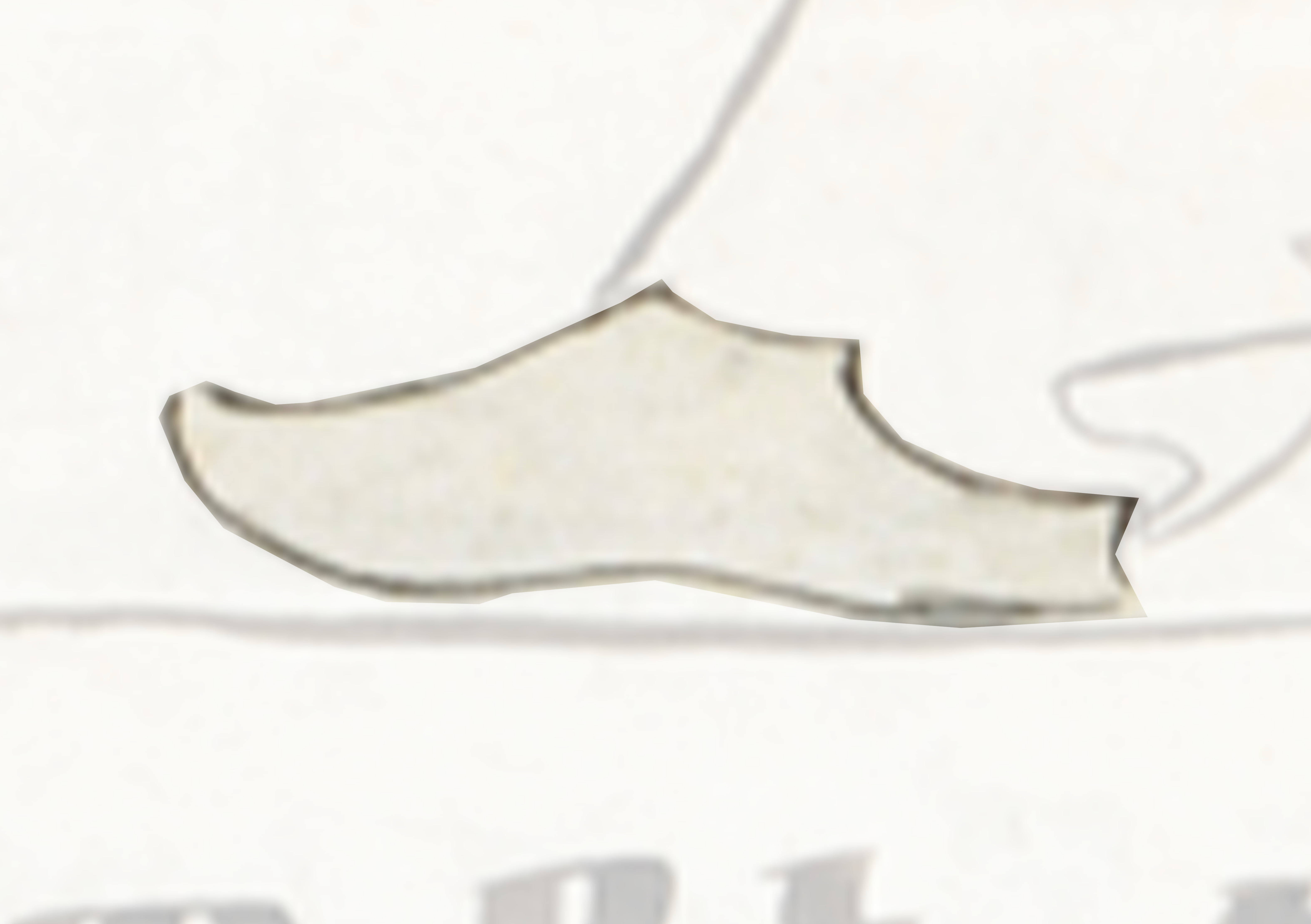 White Shoe With A White Background