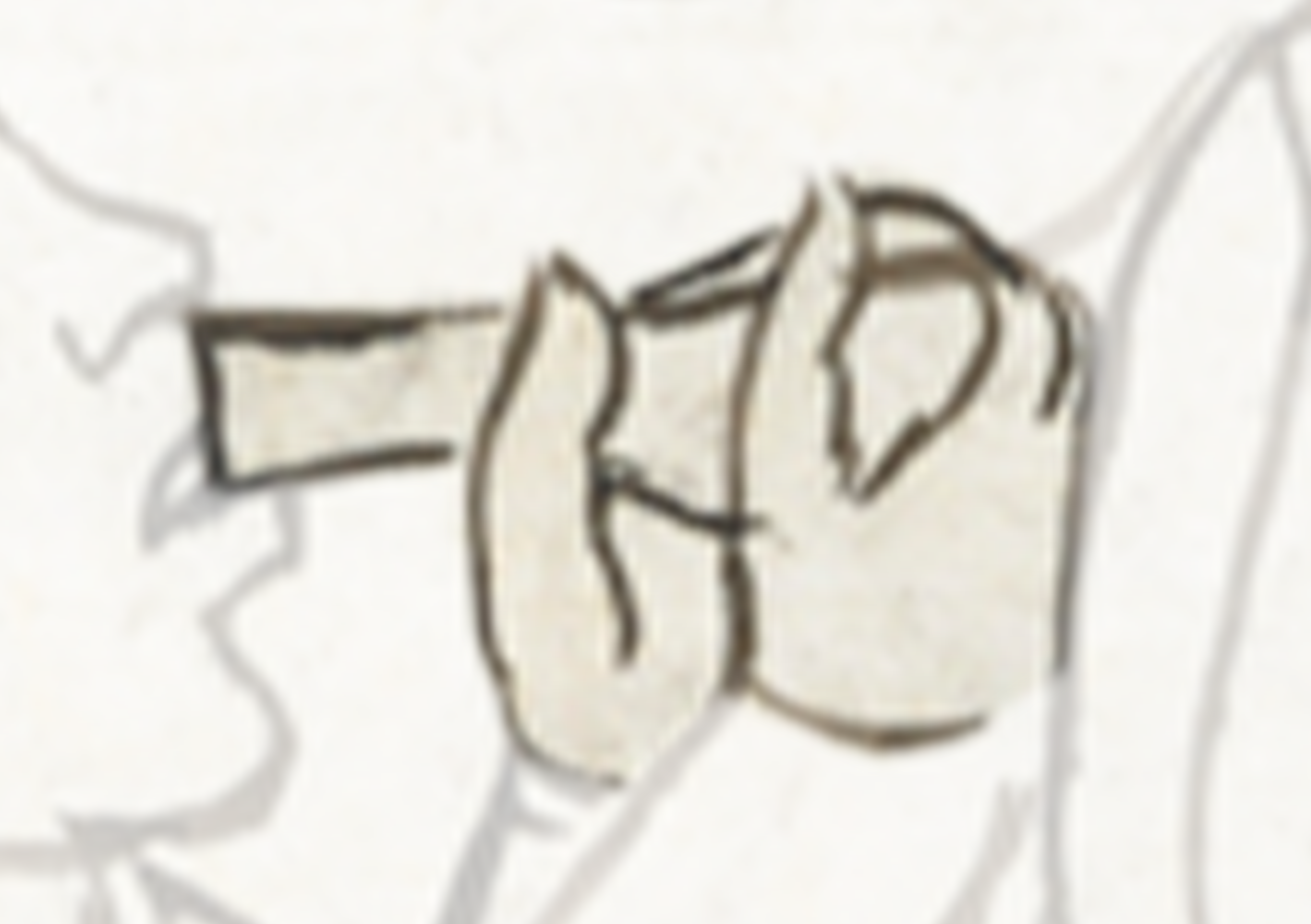Drawing Of A Woman With A Hat