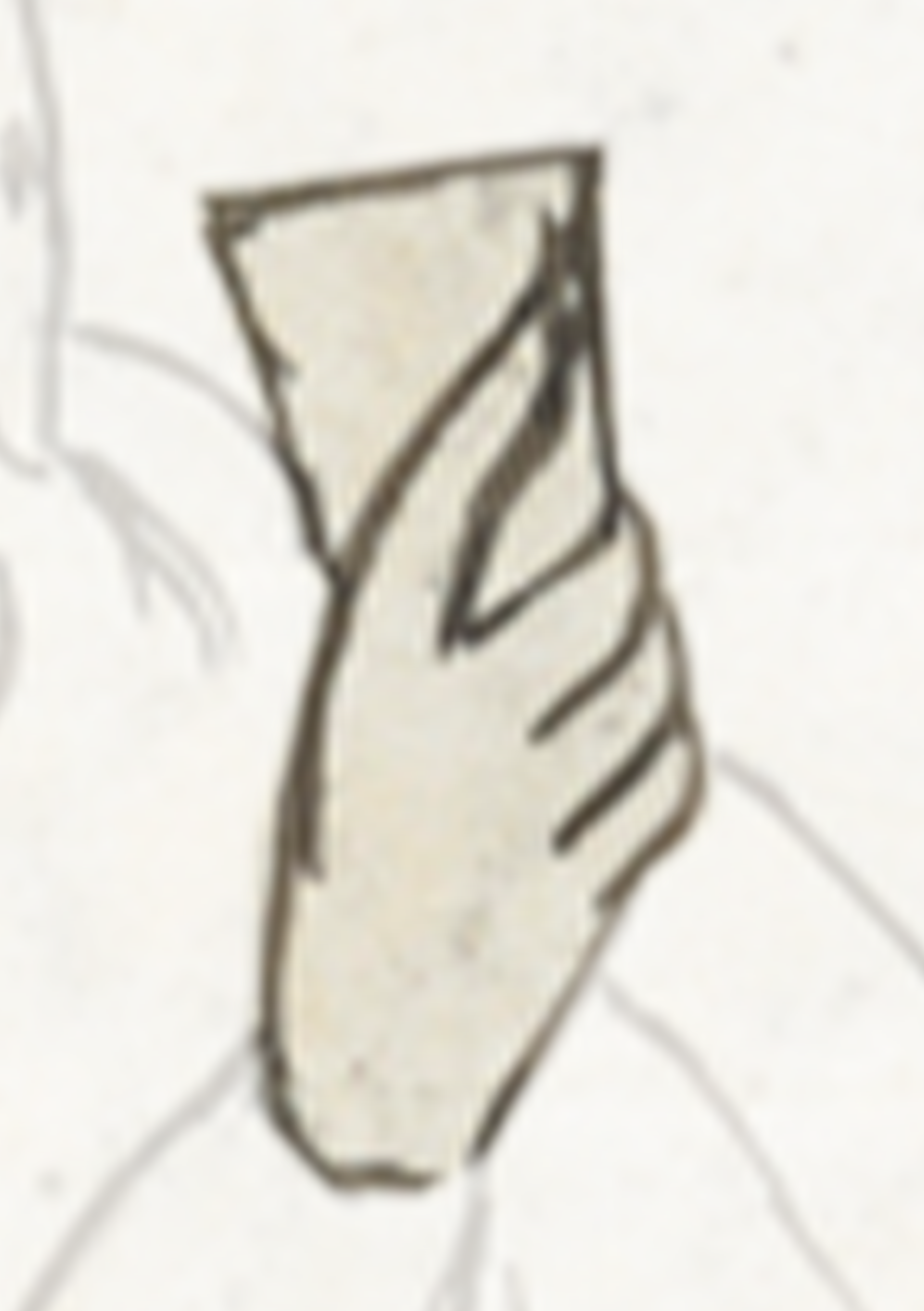 Drawing Of A Woman With A White Dress