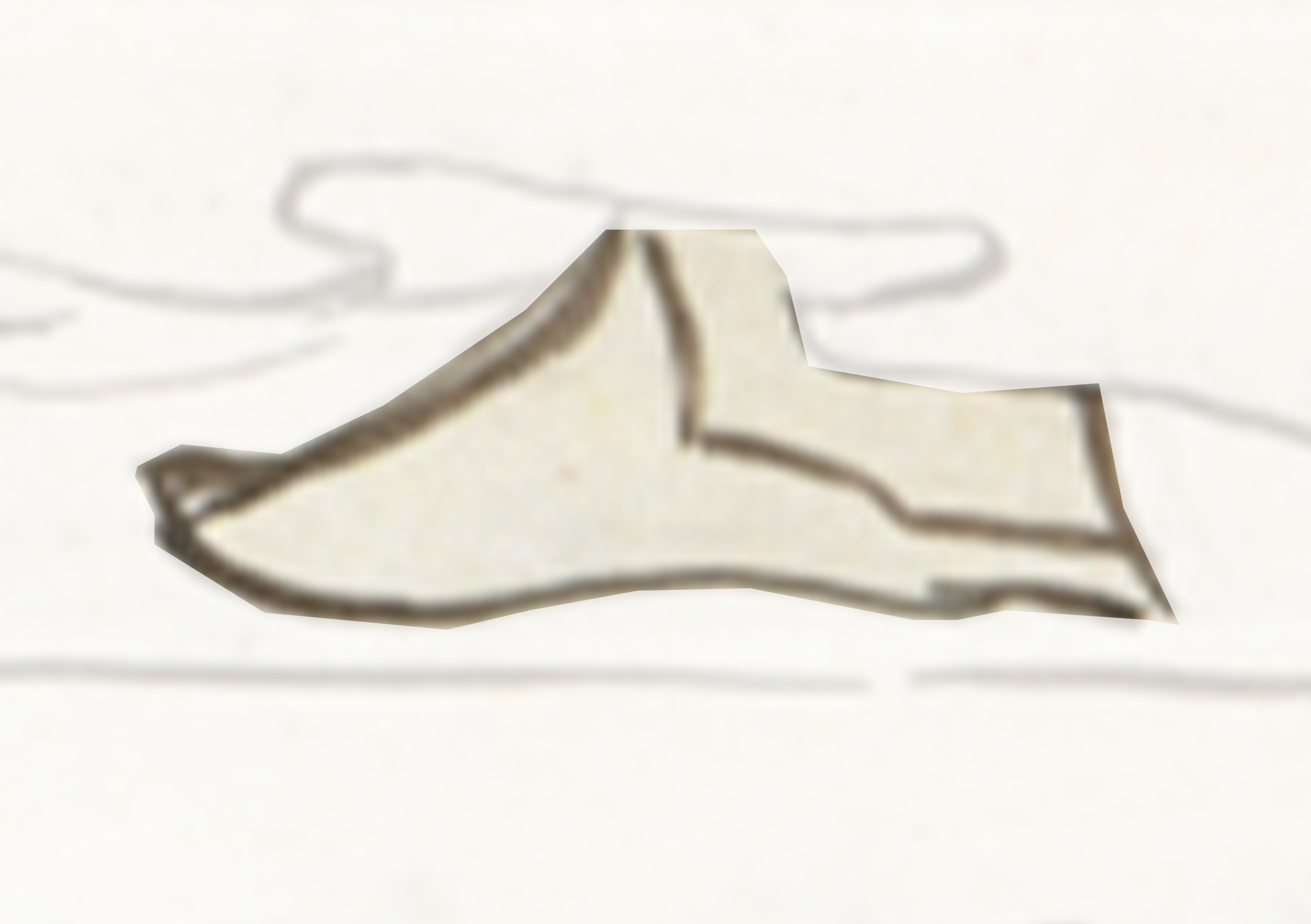 Drawing Of A Shoe With A Shoelacet