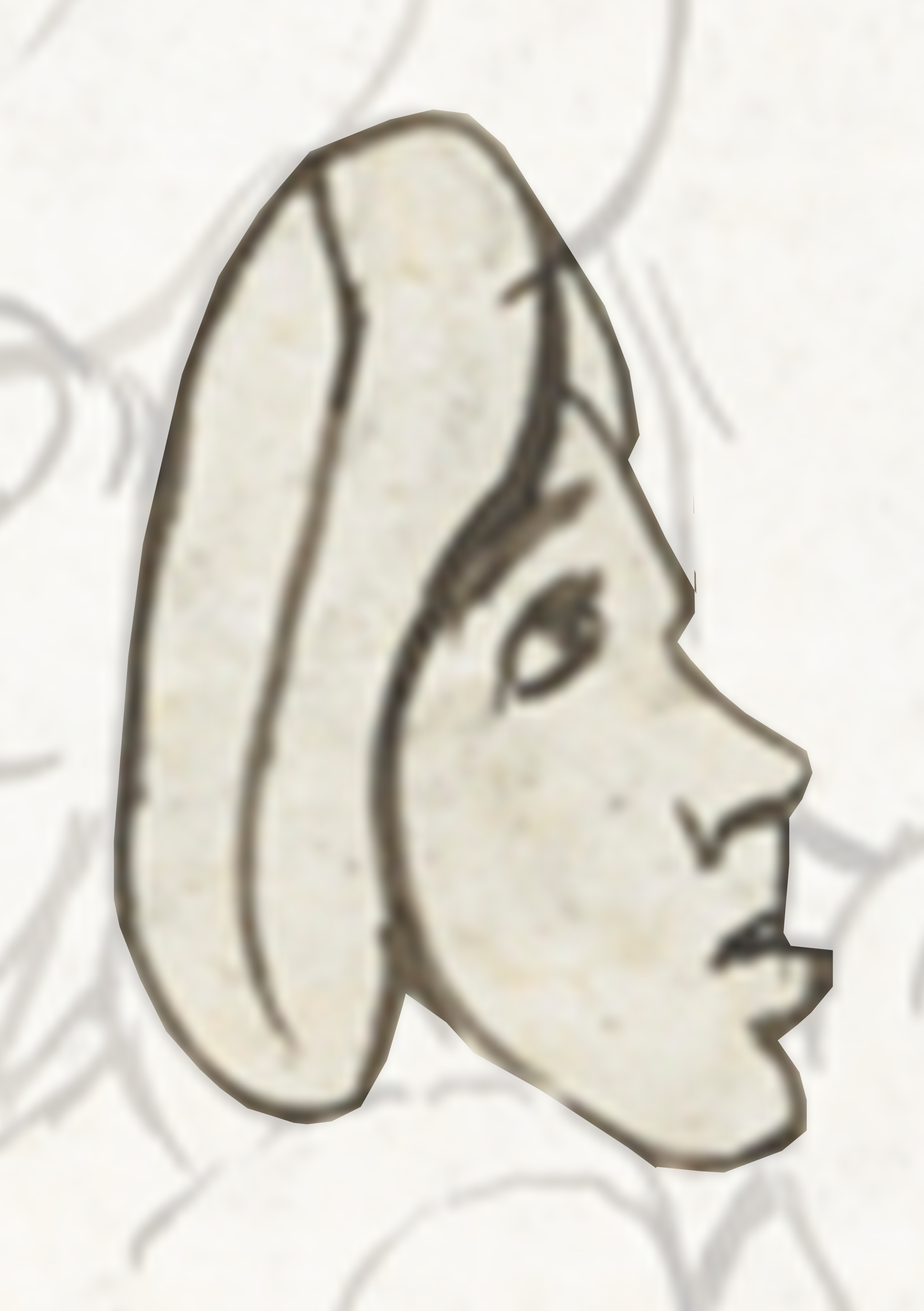 Drawing Of A Dog S Head
