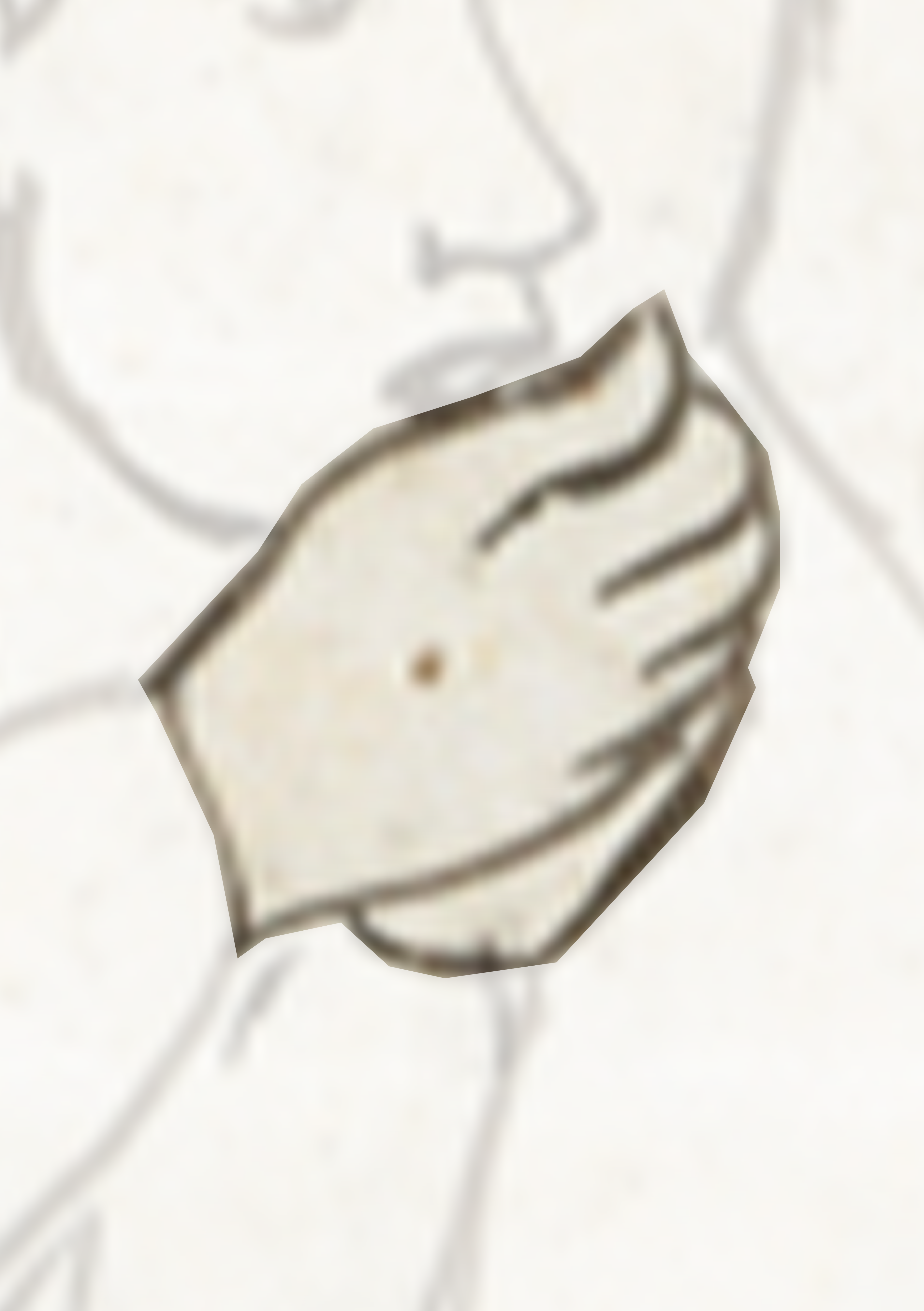 Drawing Of A Person Holding A Piece Of Paper