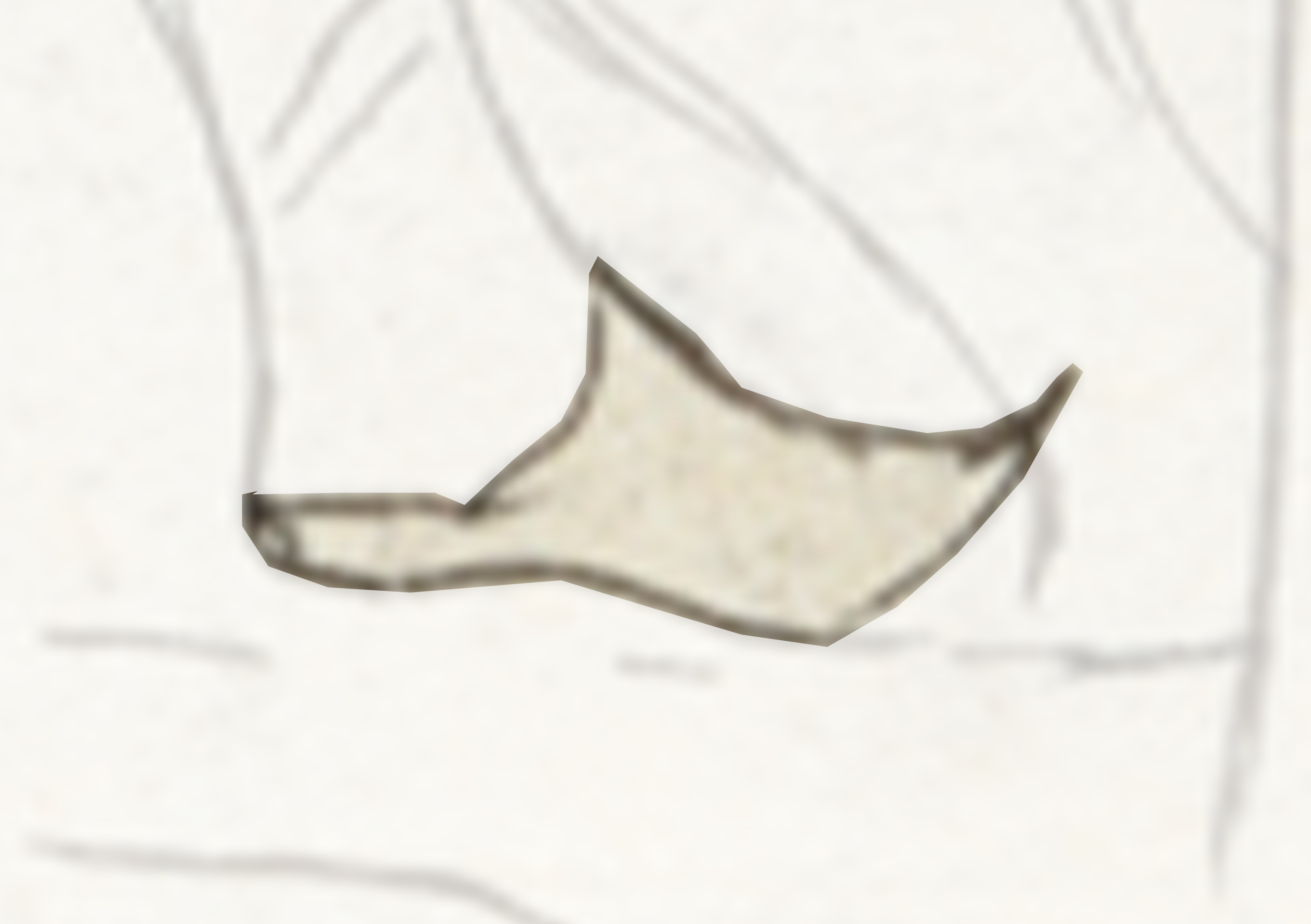 Drawing Of A Bird Flying Through The Air
