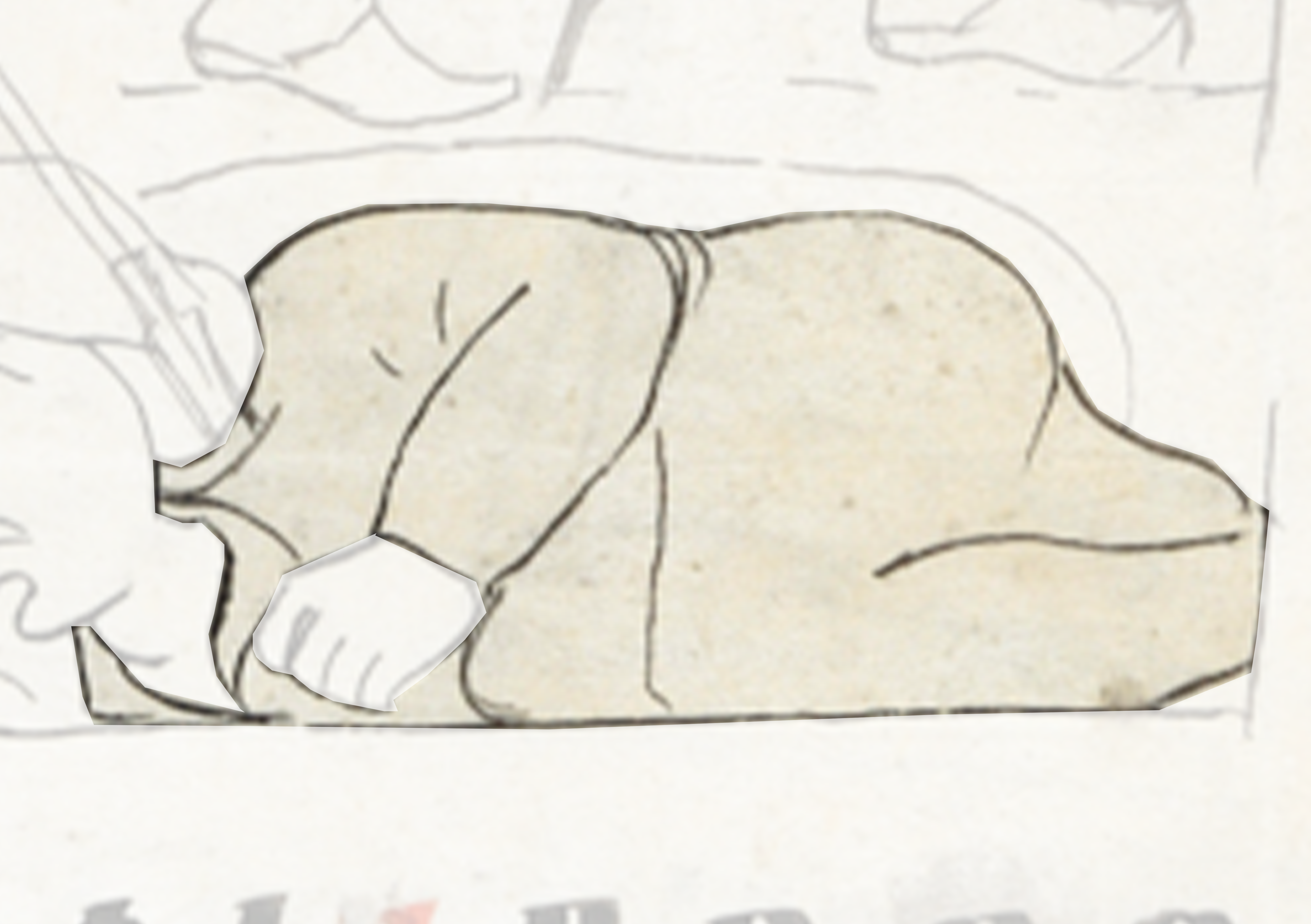 Drawing Of A Dog Laying On A Bed