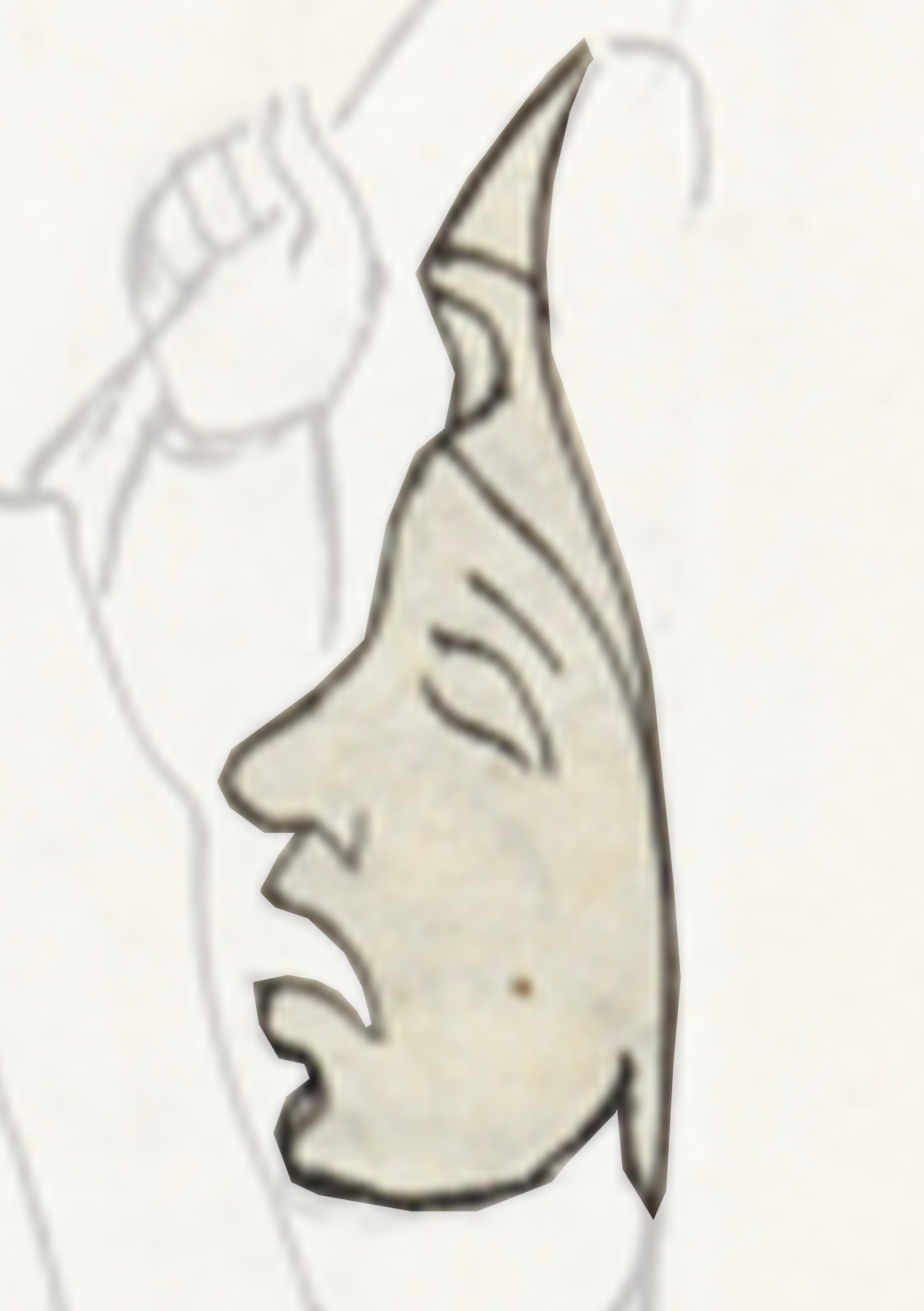 Drawing Of A Dog With A Hat On