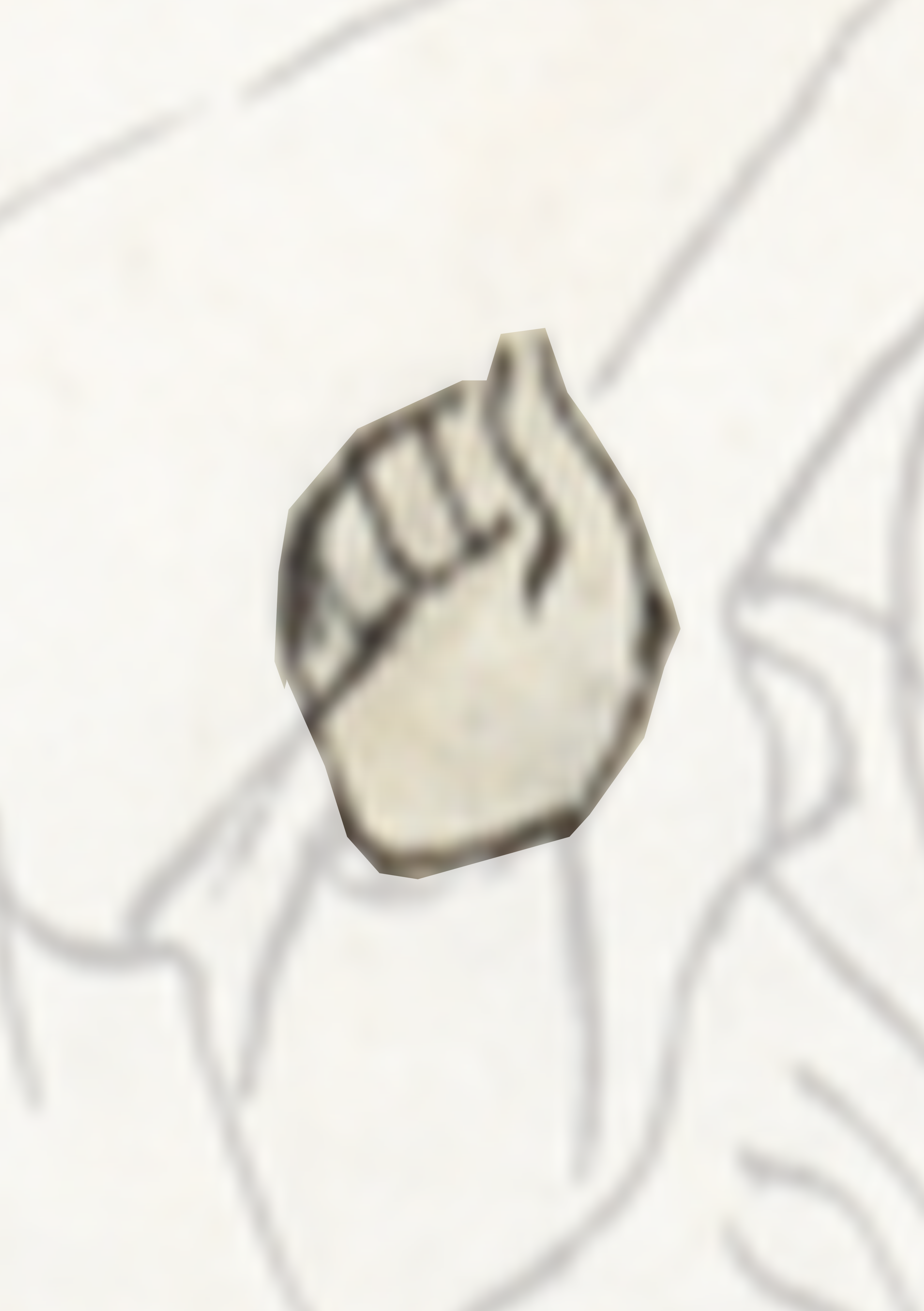 Small White Object With A Hole In The Middle
