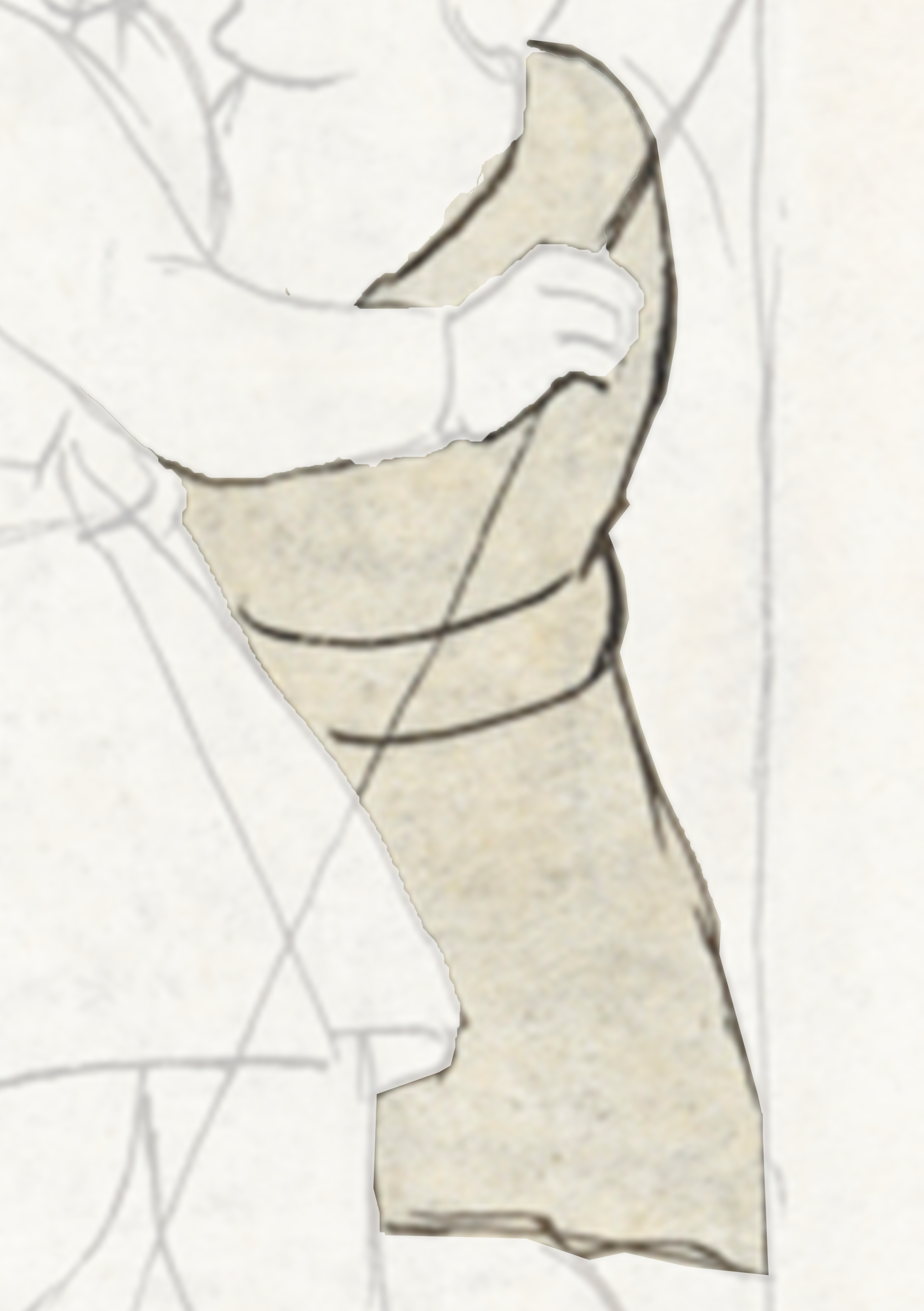 Drawing Of A Man In A White Shirt