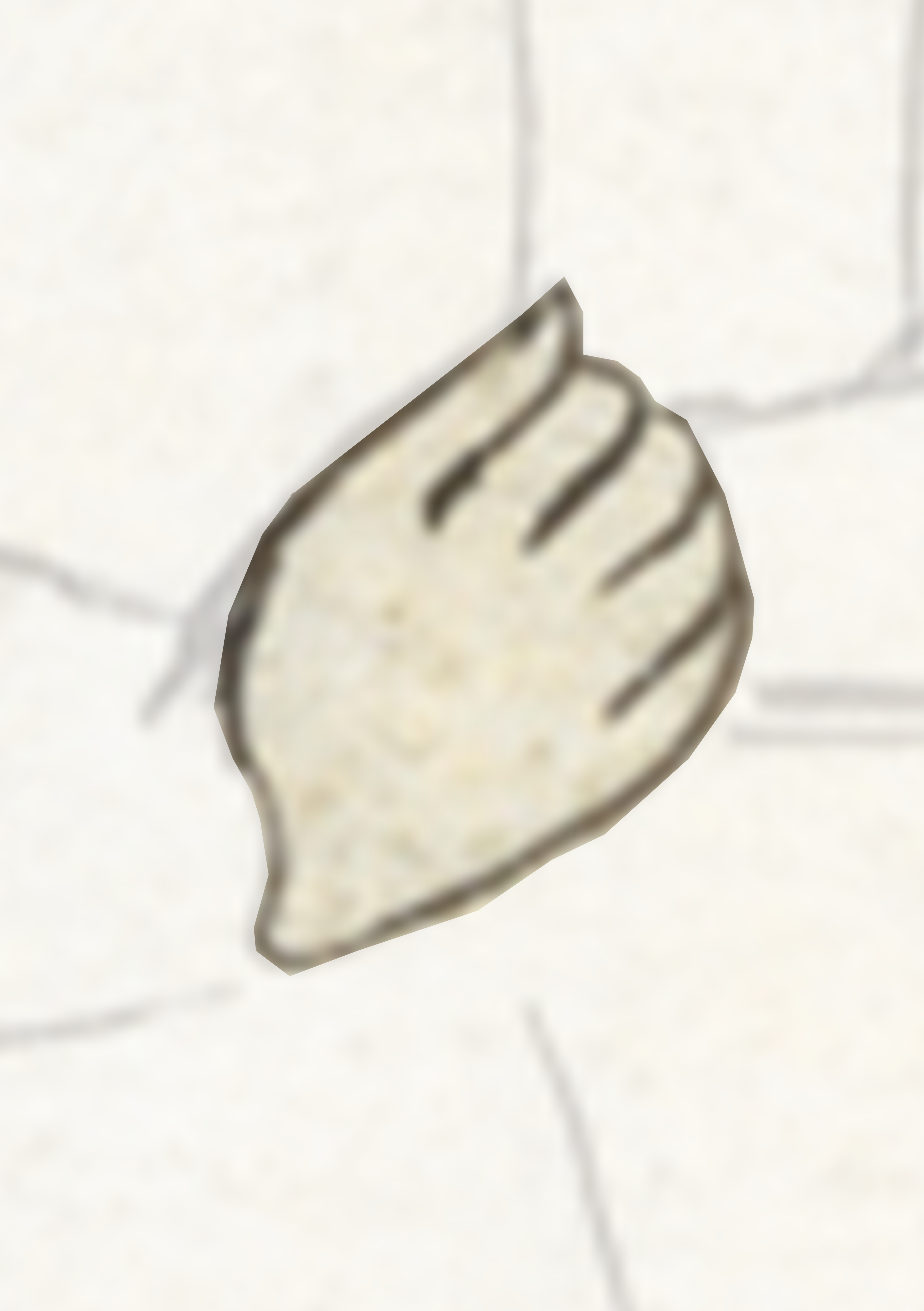 Piece Of Paper With A Leaf On It