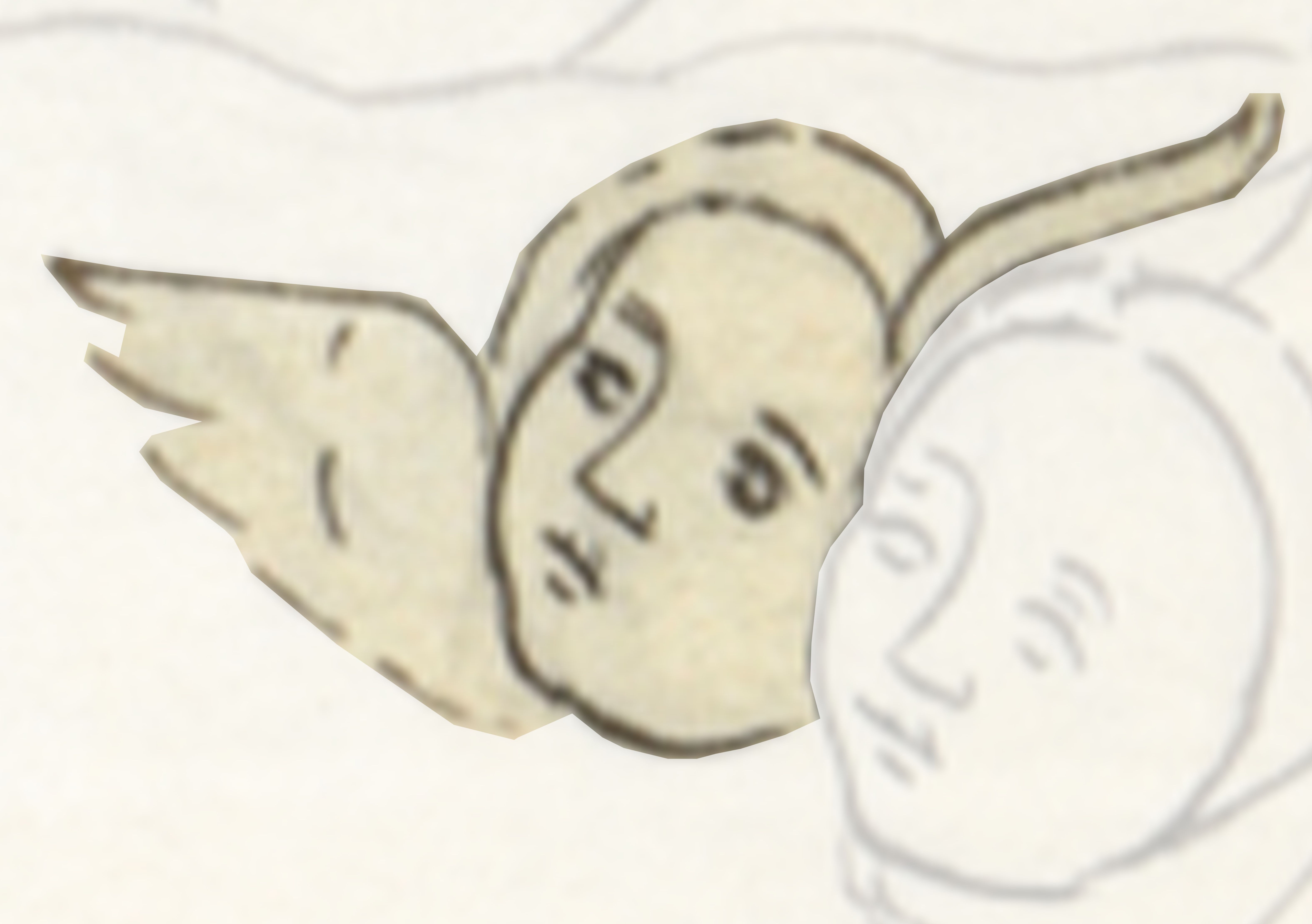 Drawing Of A Man With A Beard
