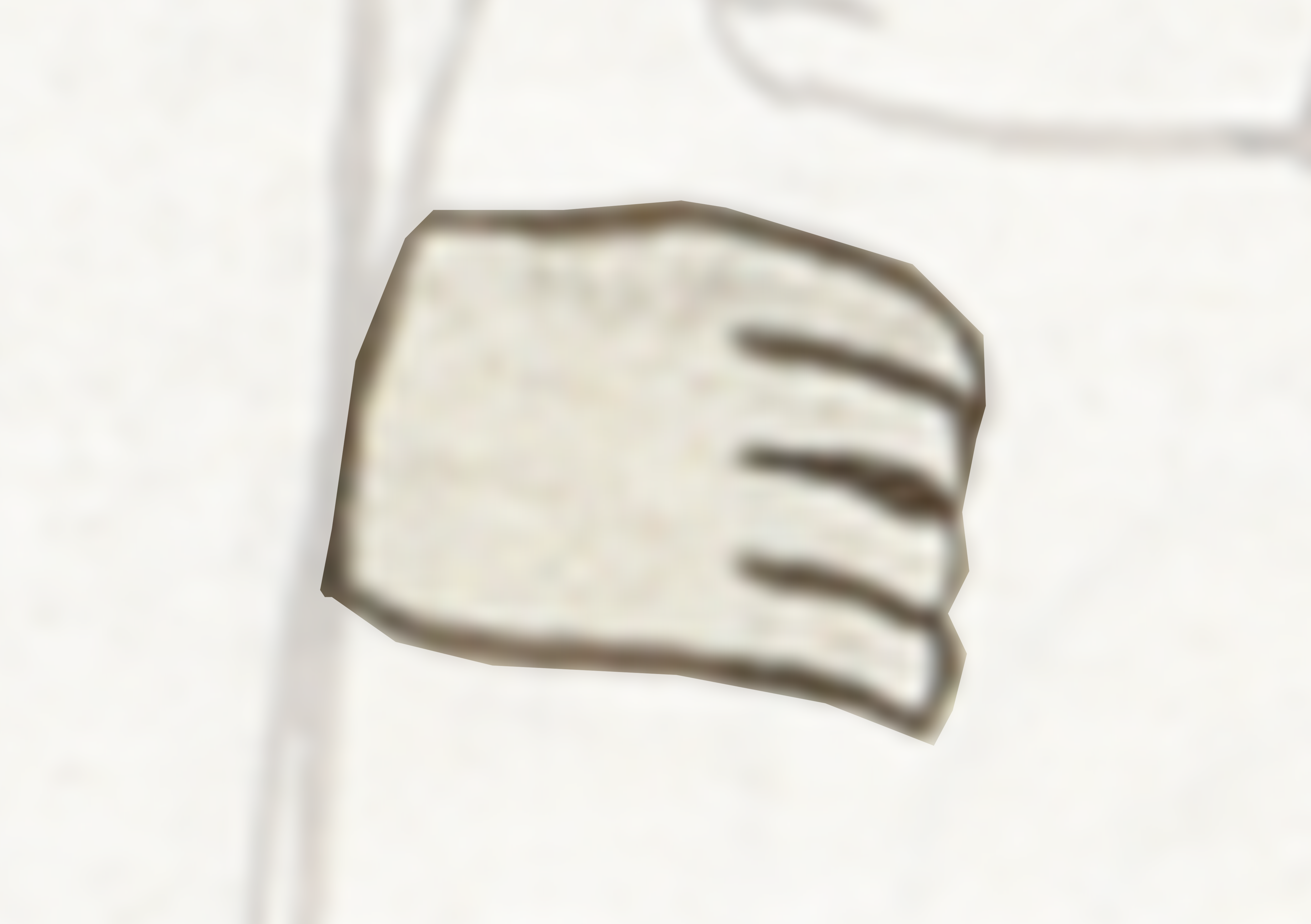 White Shirt With A Black And White Design