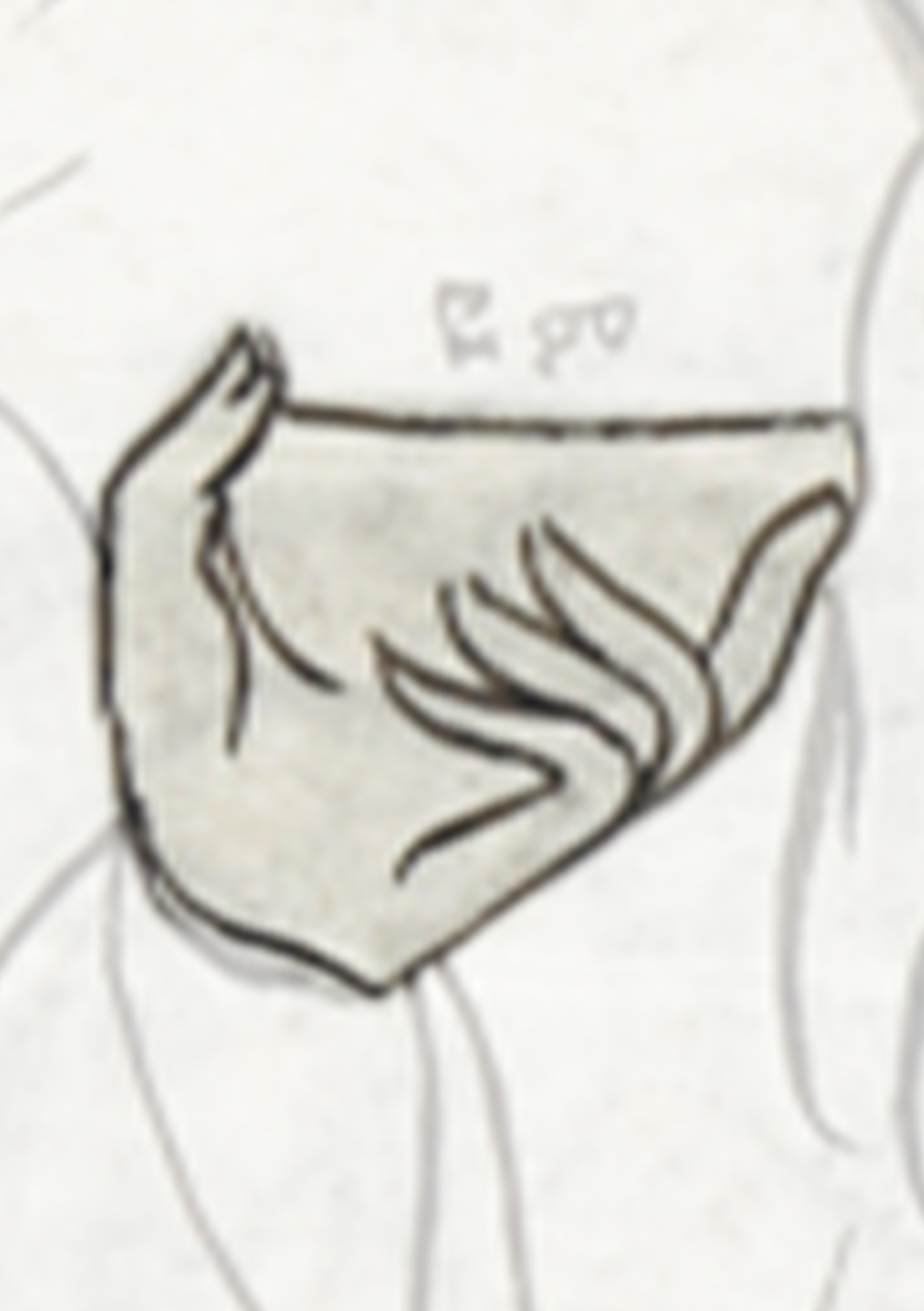 Drawing Of A Man S Torso