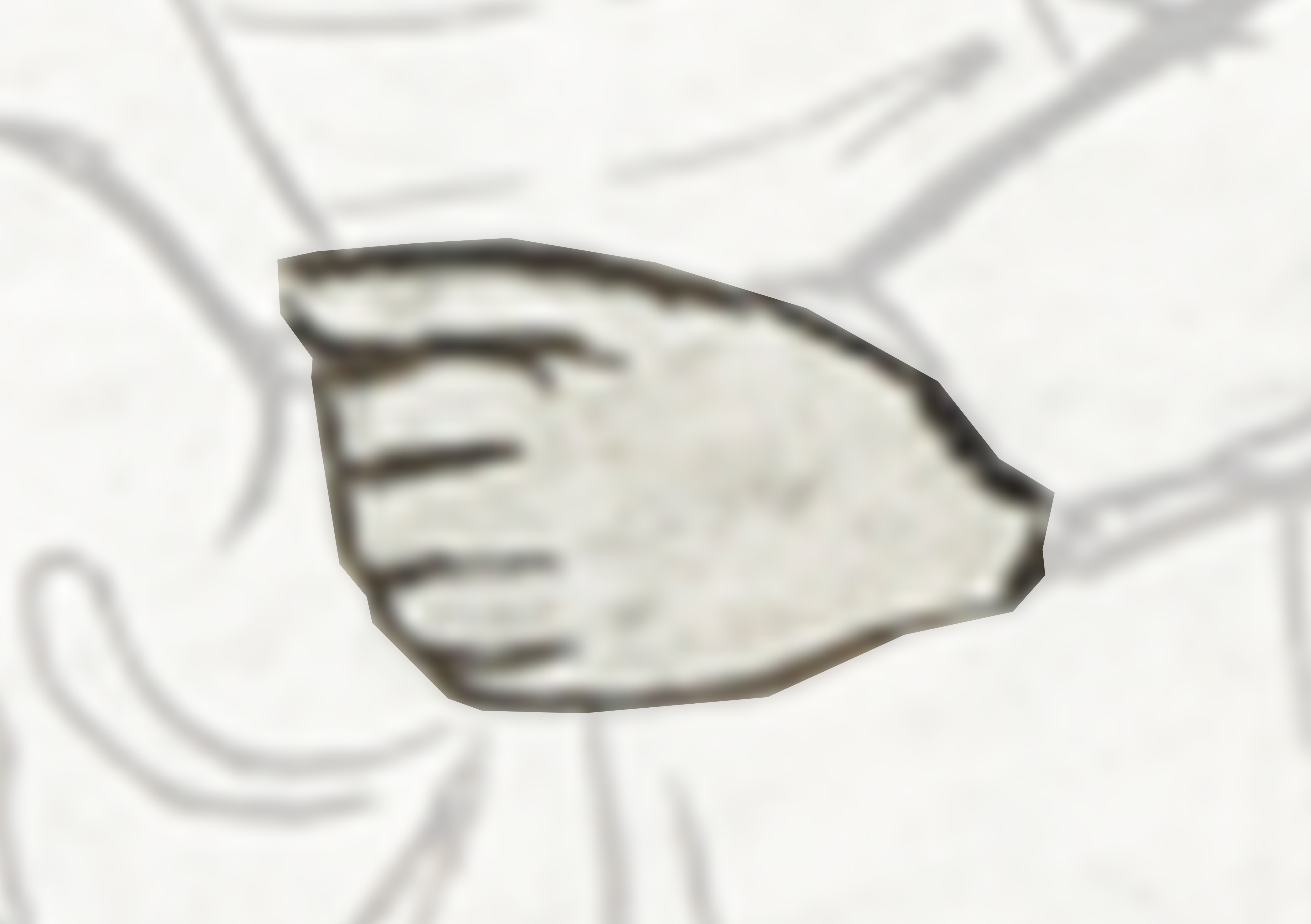 Drawing Of A Person With A Hat On