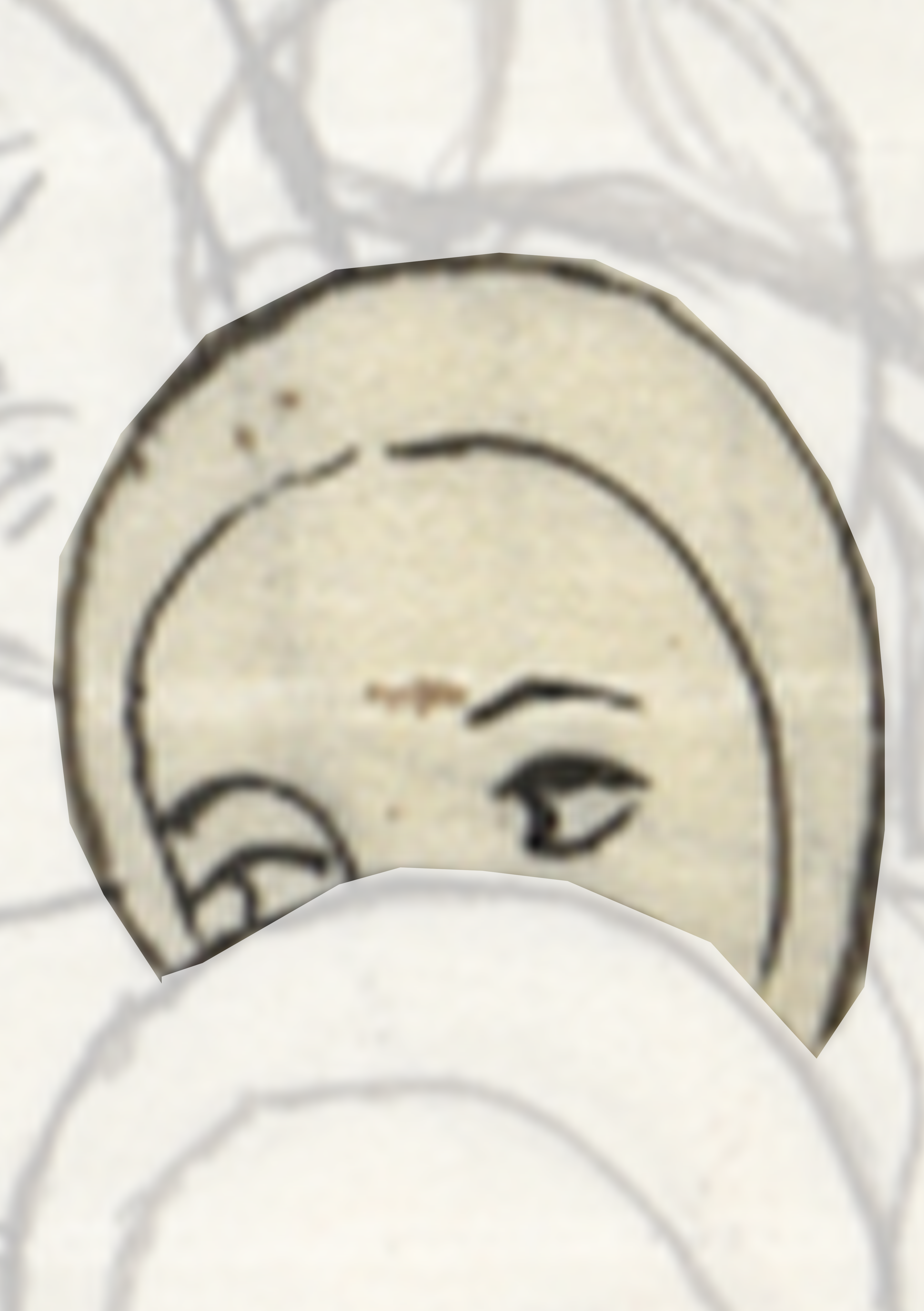 Close Up Of A Face With A White Background