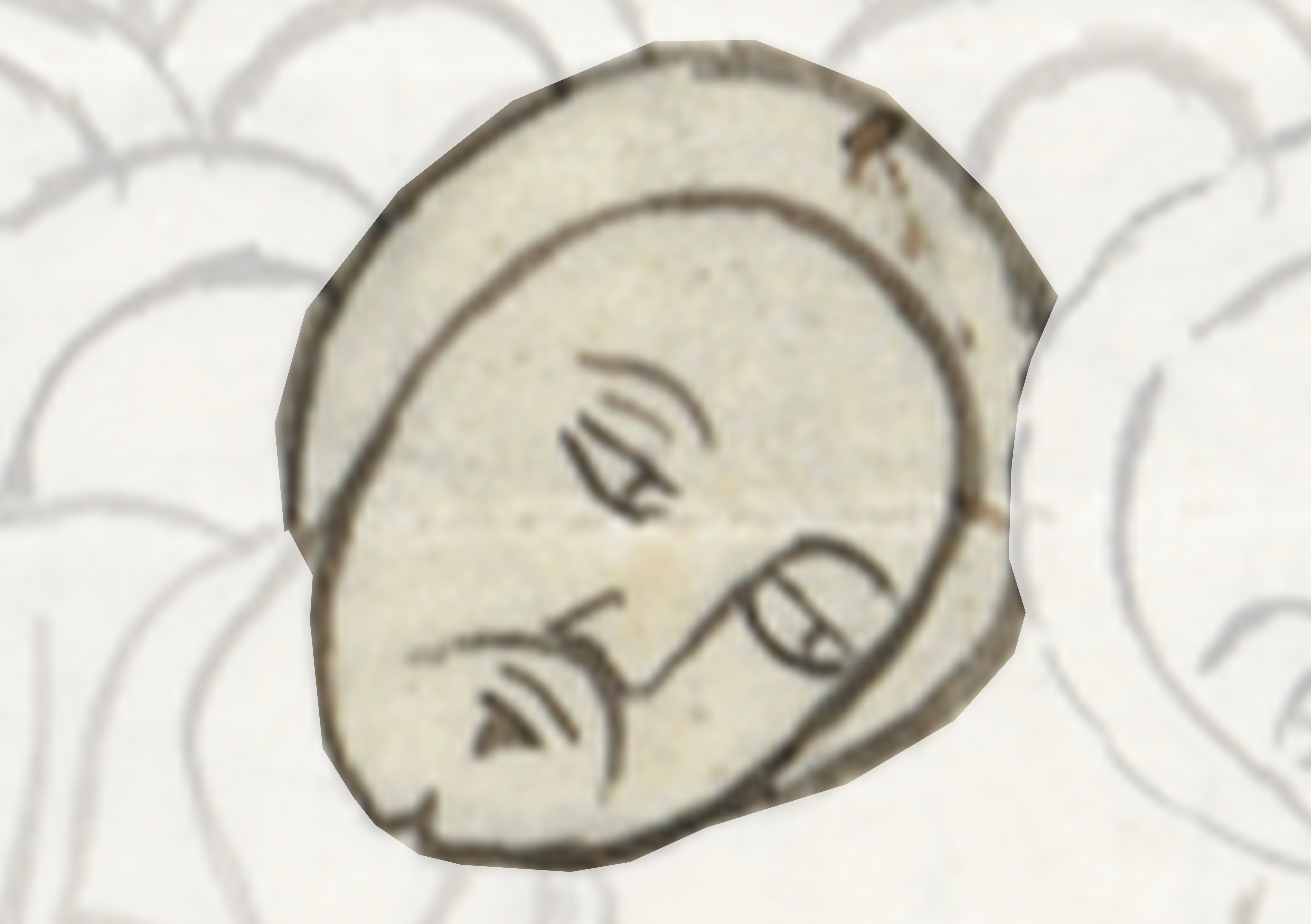 Stone With A Face On It