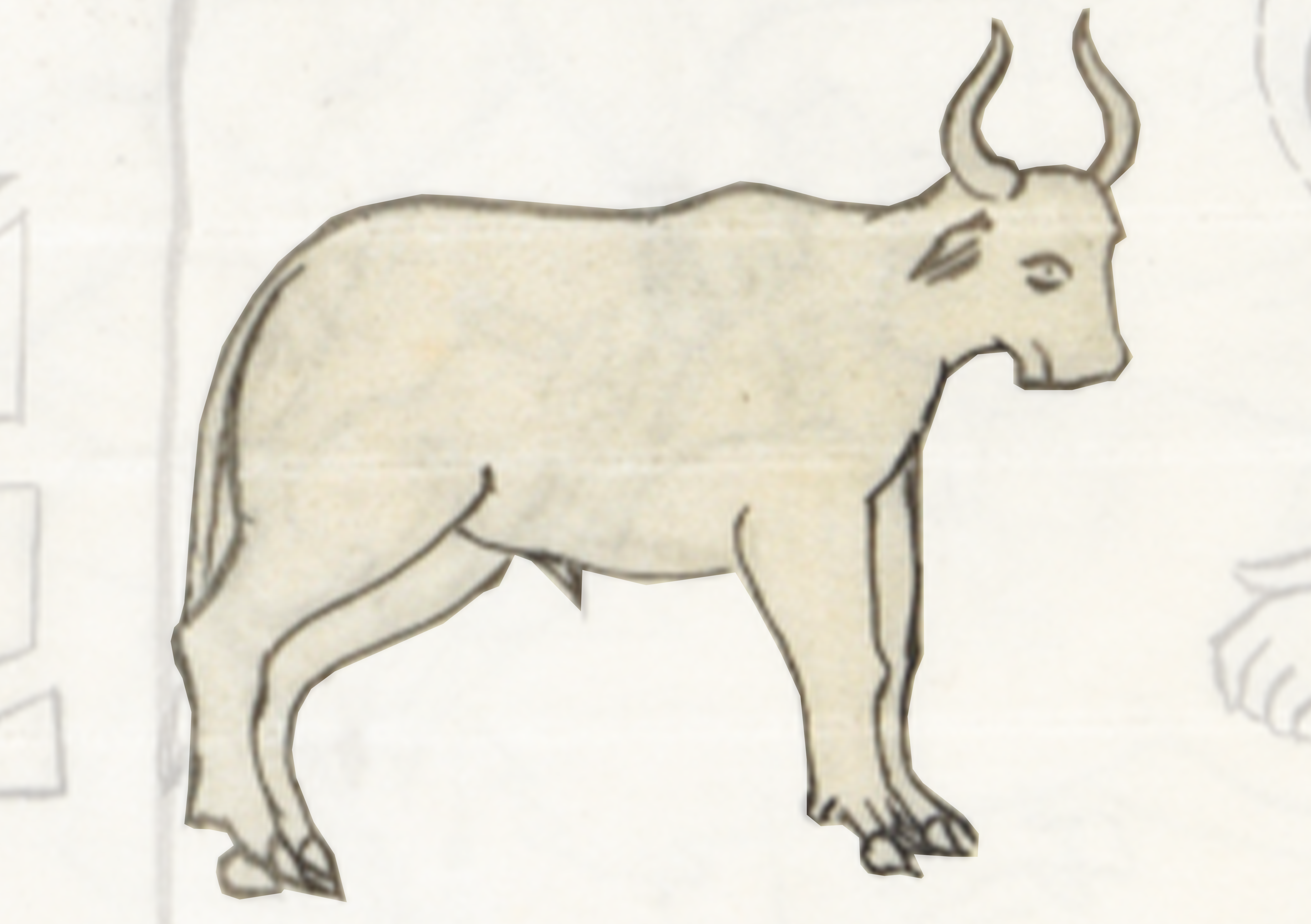 Drawing Of A Goat