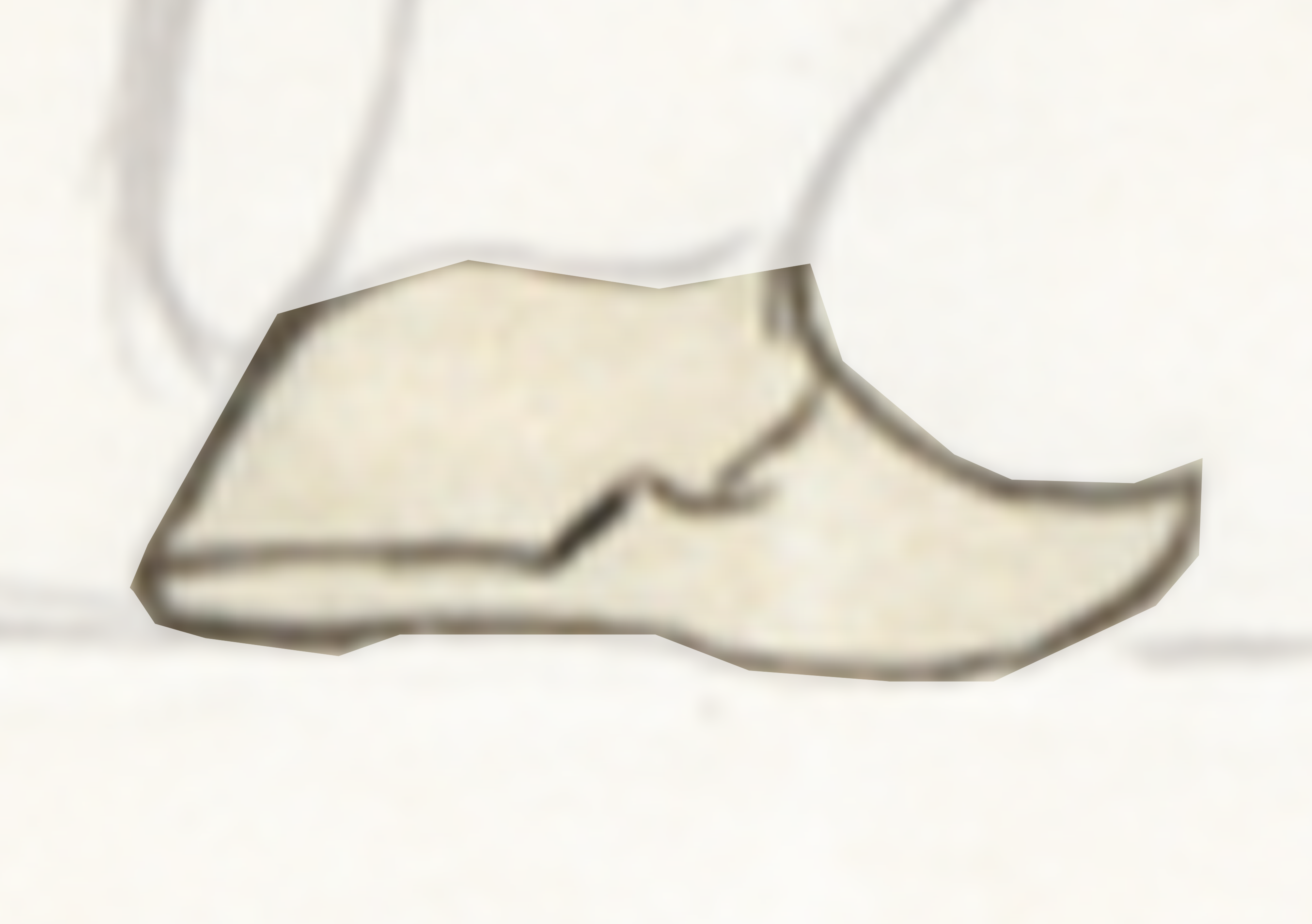 White Shoe With A Black Shoelacet