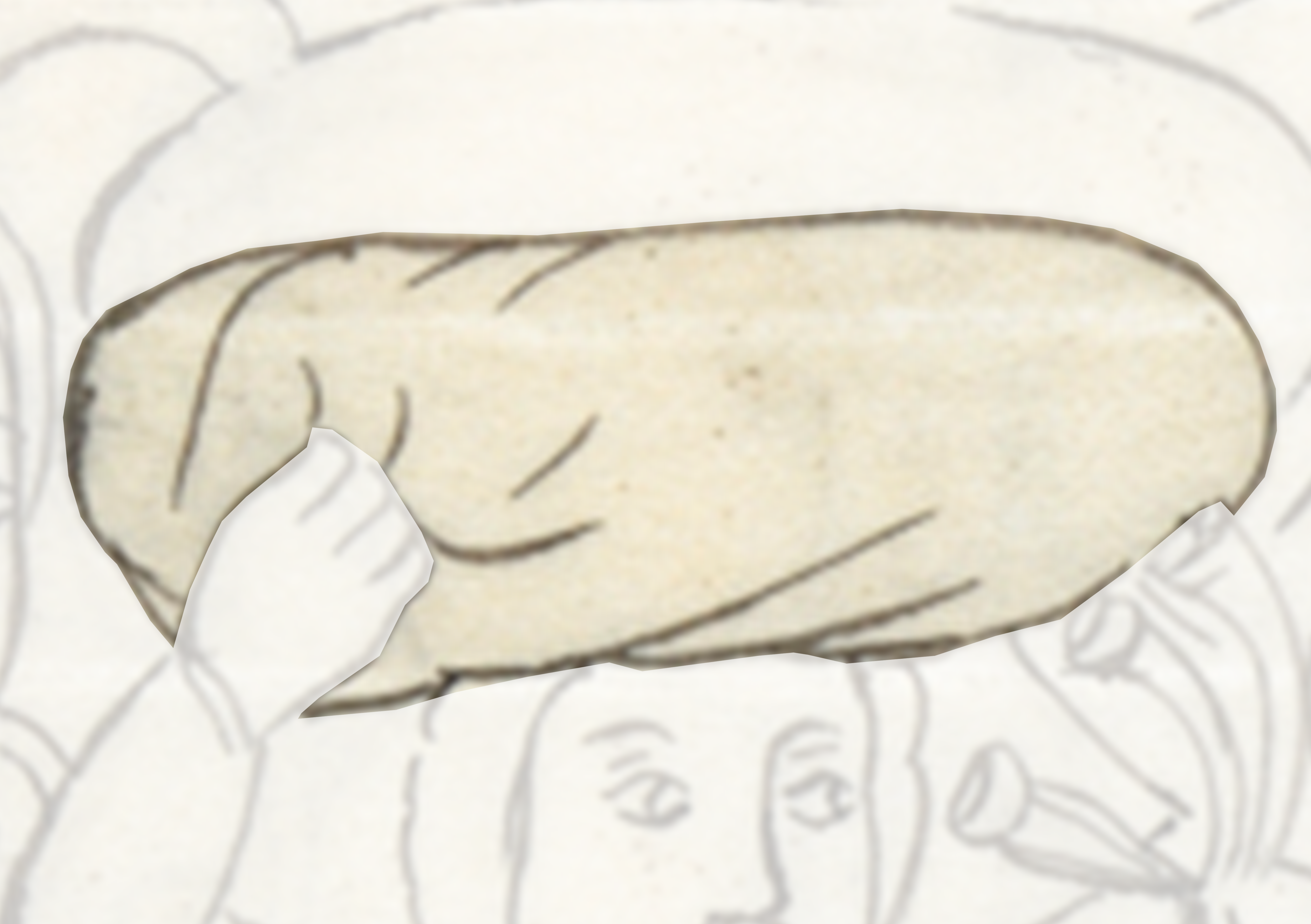 Drawing Of A Dog With A White Background