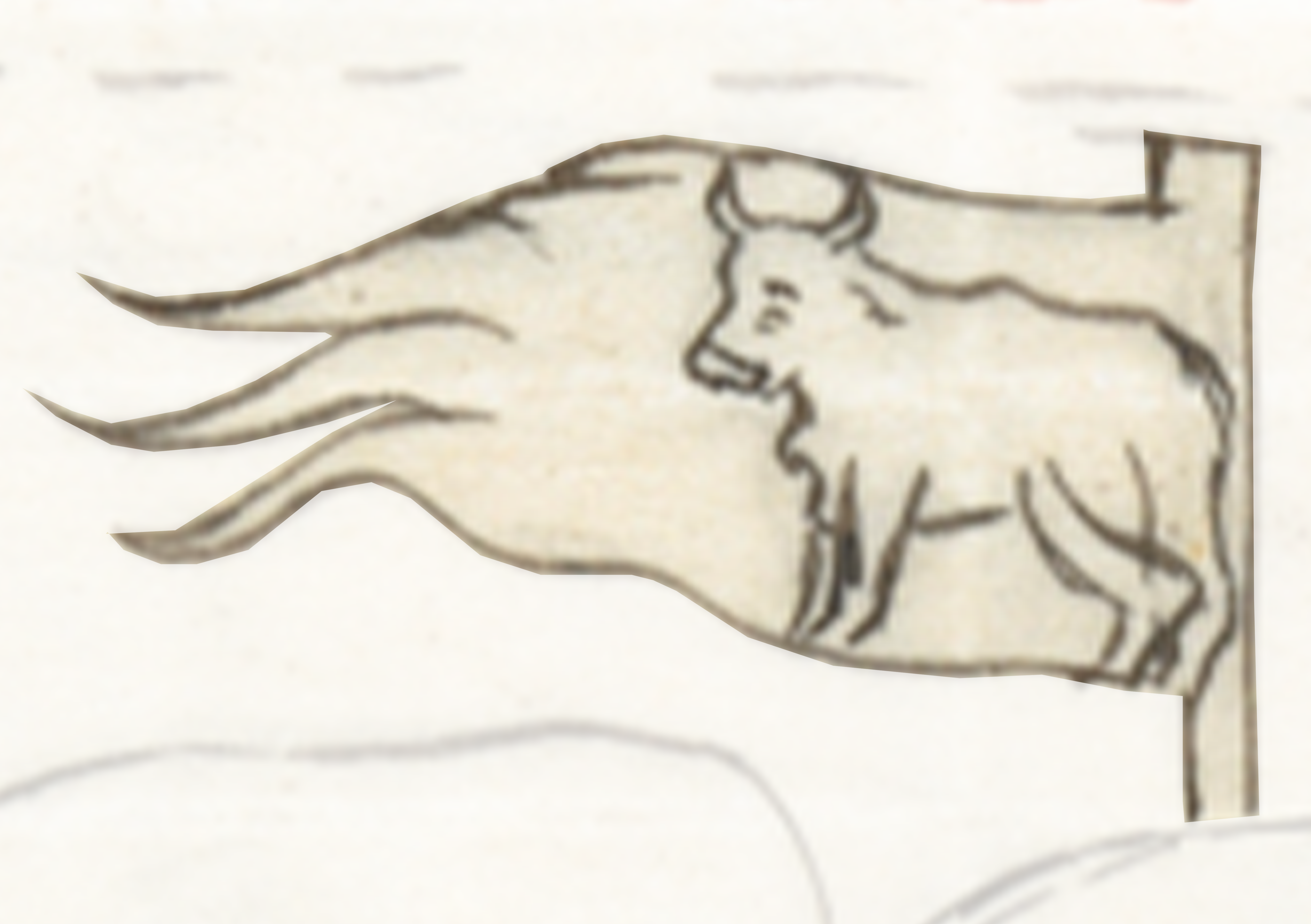 Drawing Of A Bull