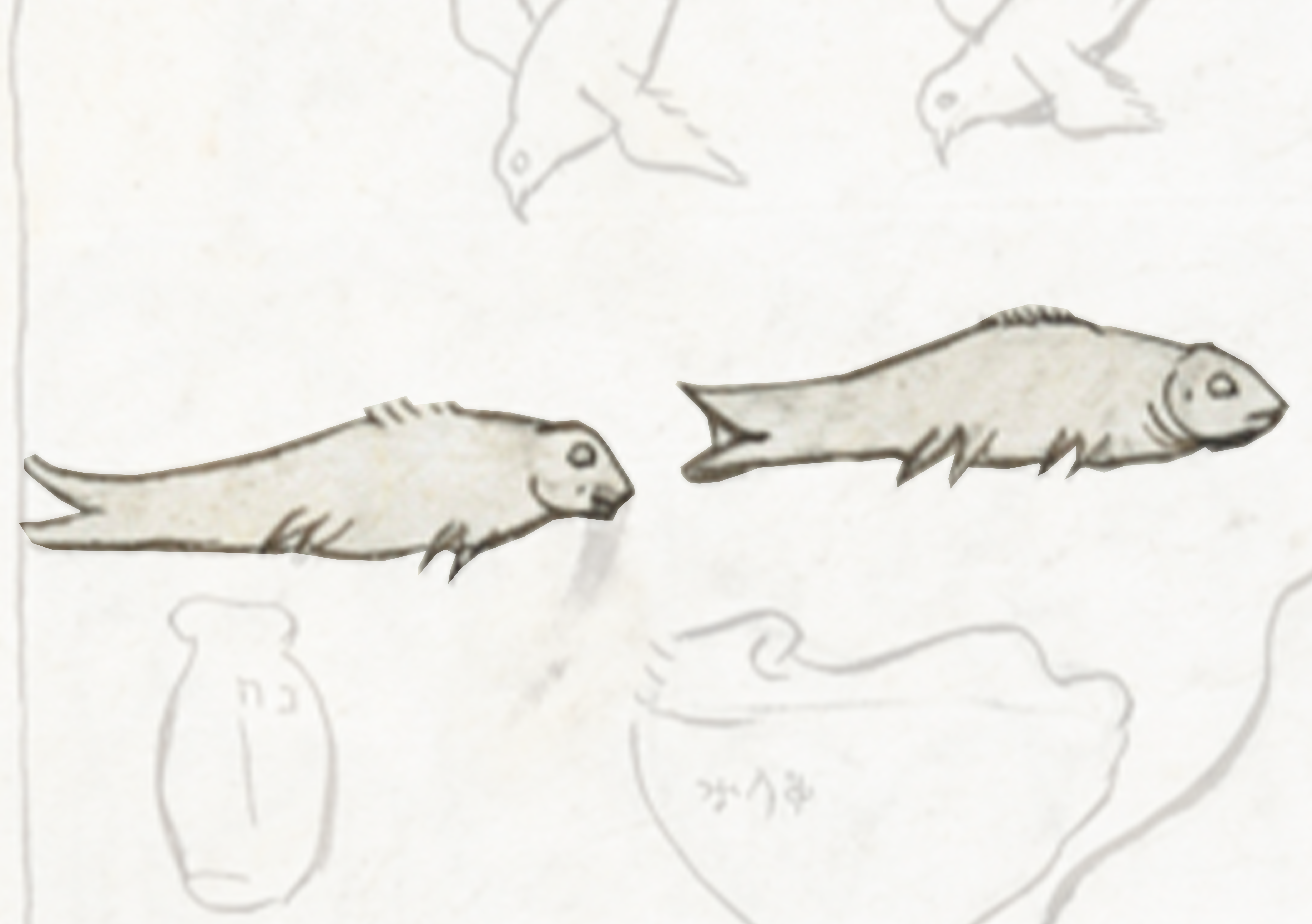 Two Fish Swimming In The Water