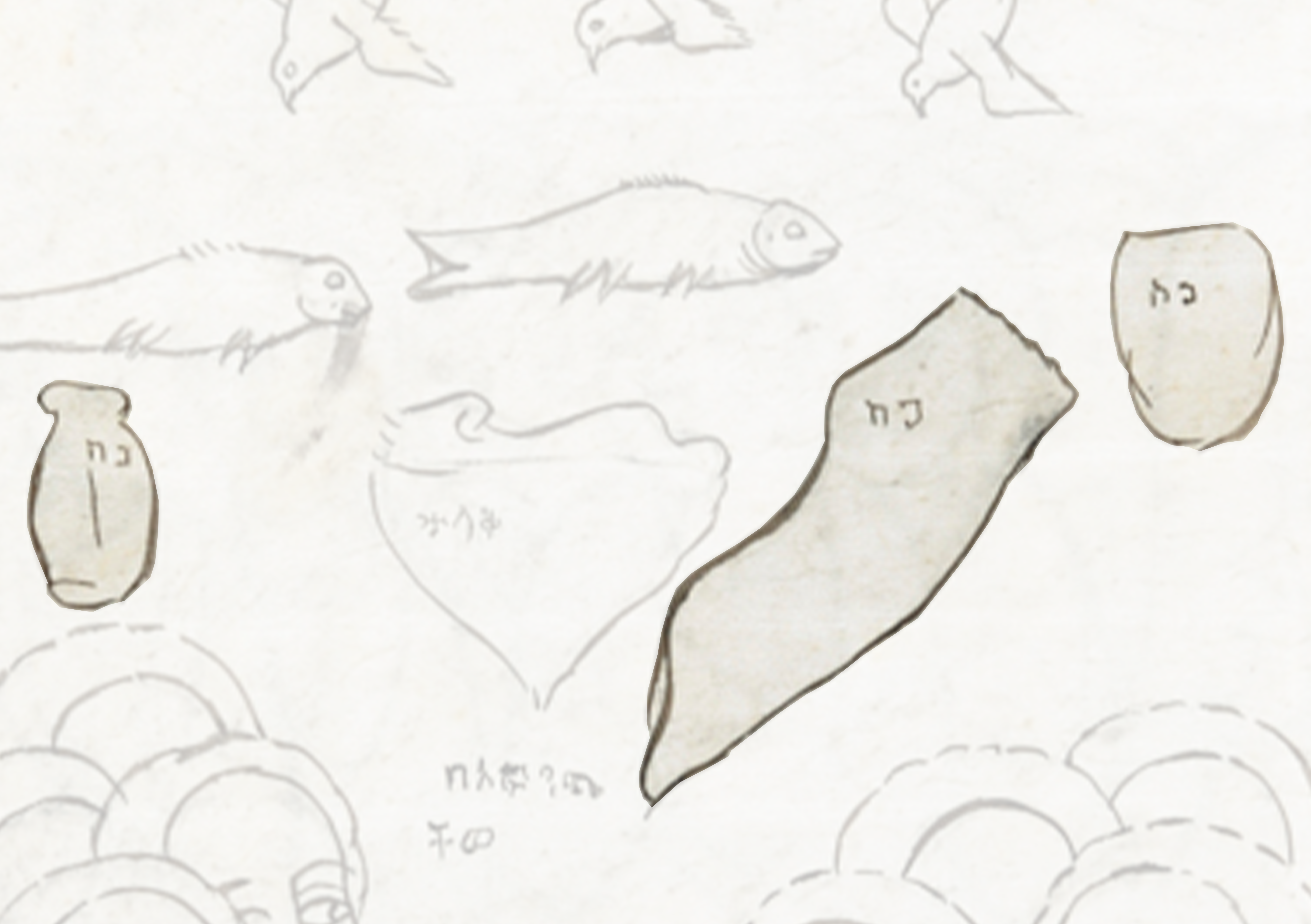 Drawing Of A Fish And A Fish