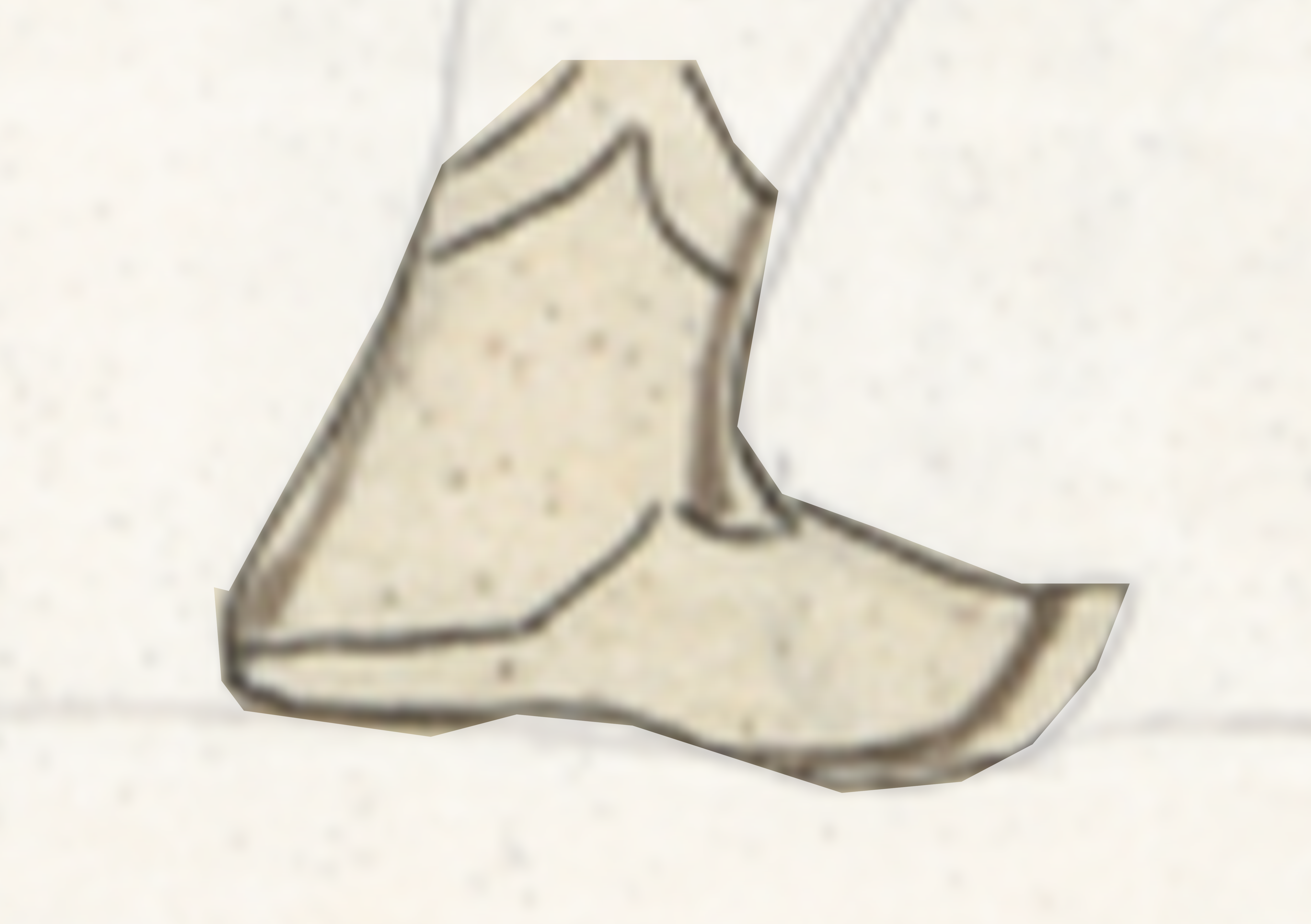 Drawing Of A Shoe