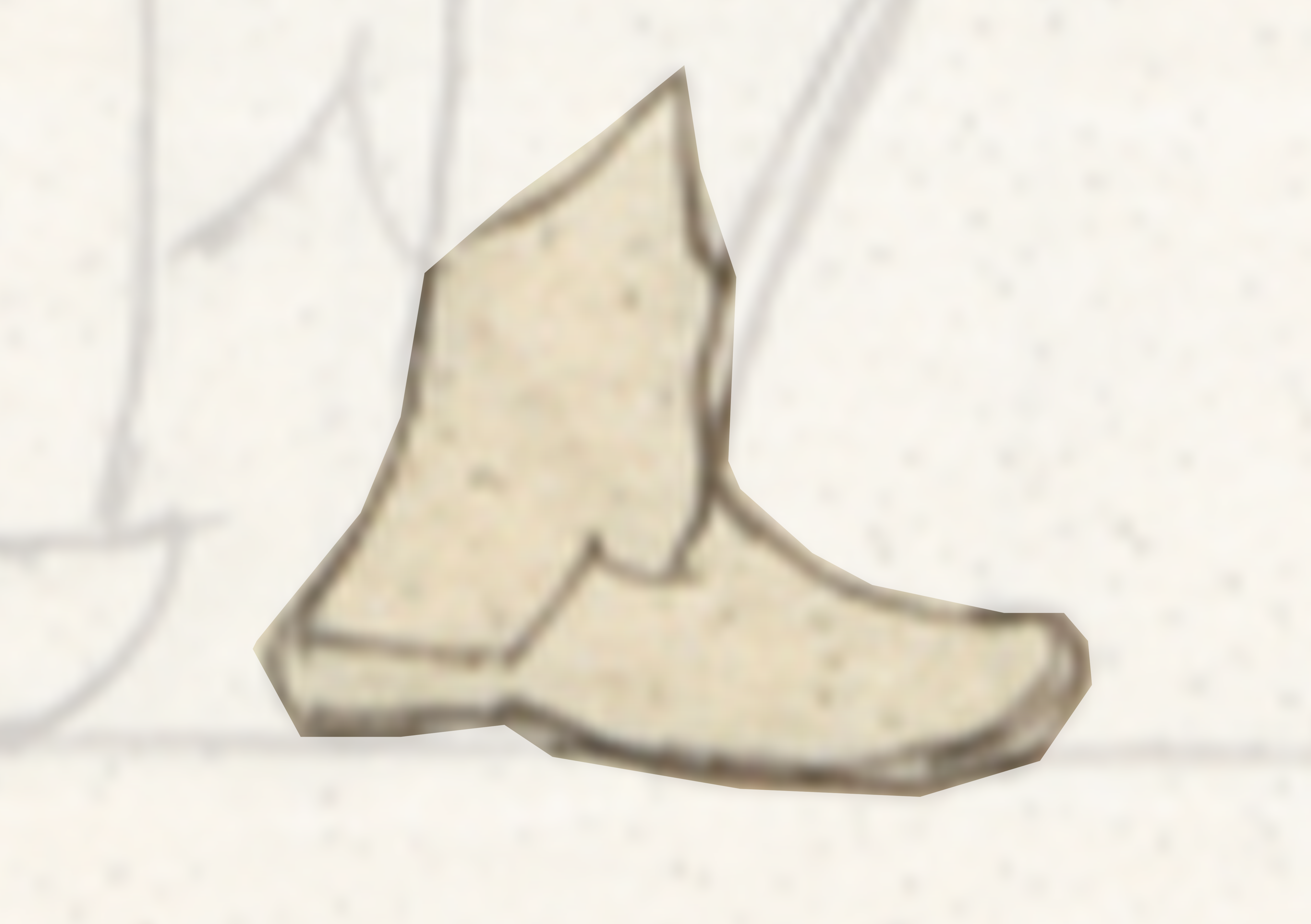 Drawing Of A Bird With A Long Tail