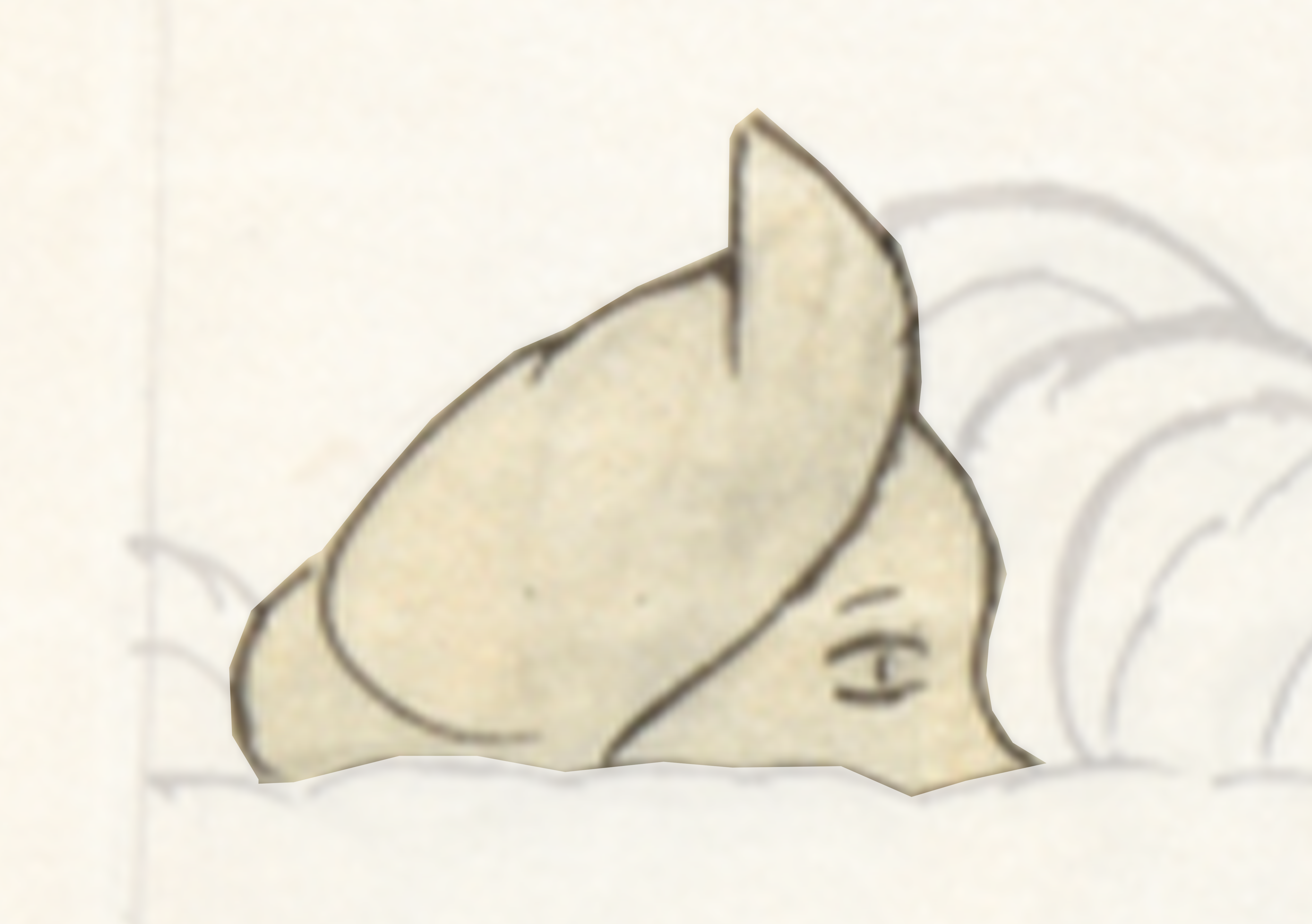 Drawing Of A Cat With A Shadow On It