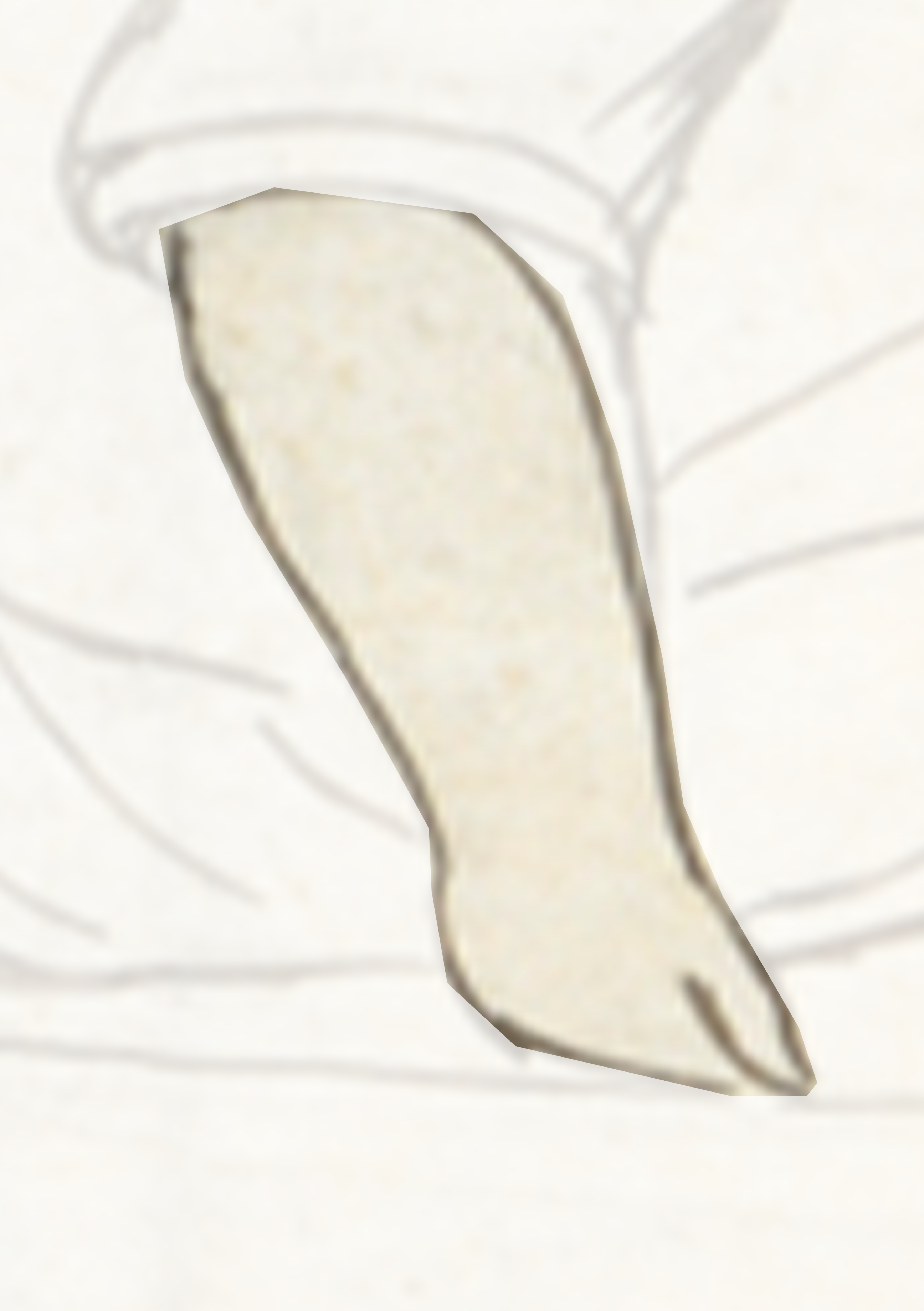 Drawing Of A Leaf With A White Background