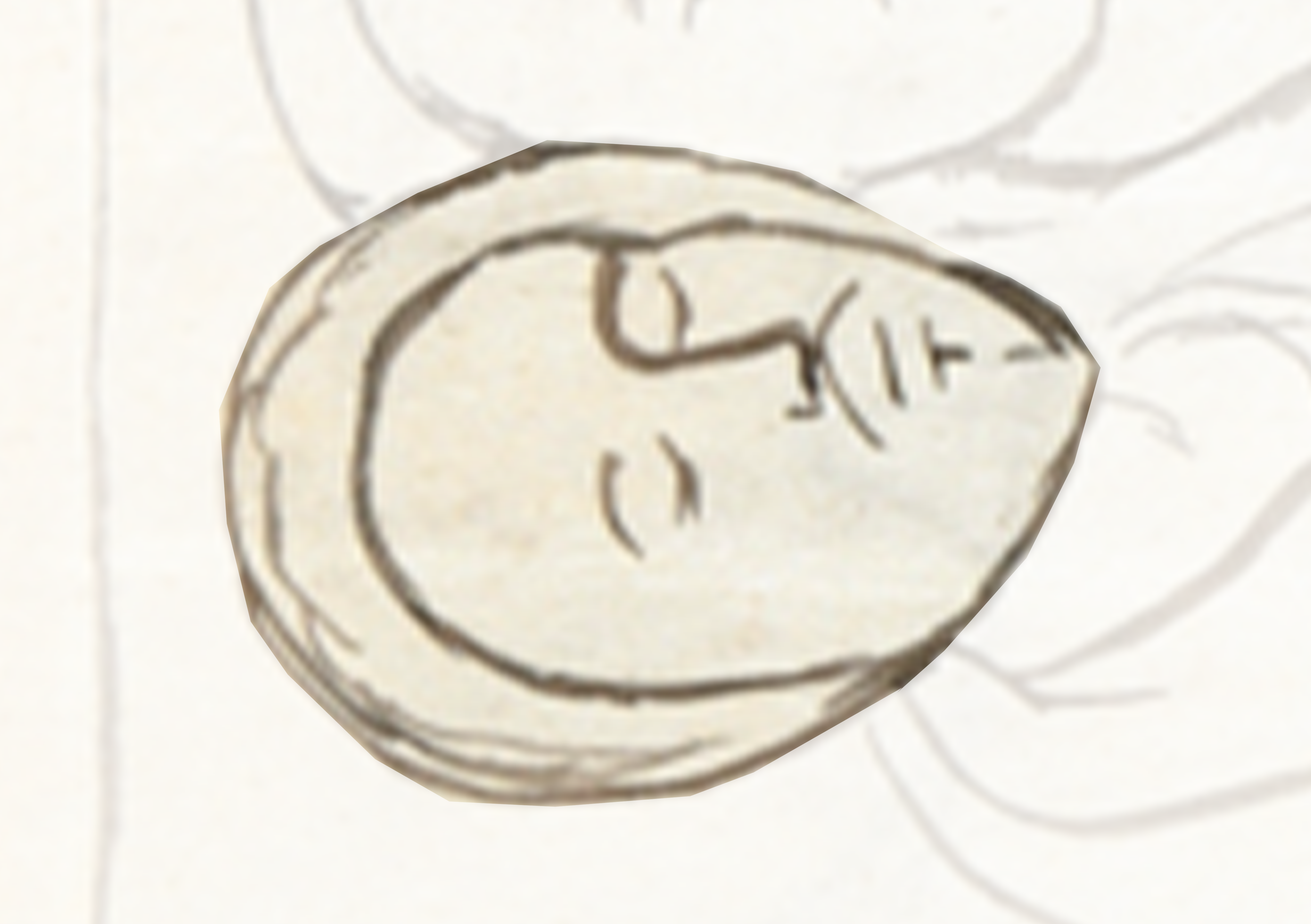 Coin With A Face On It