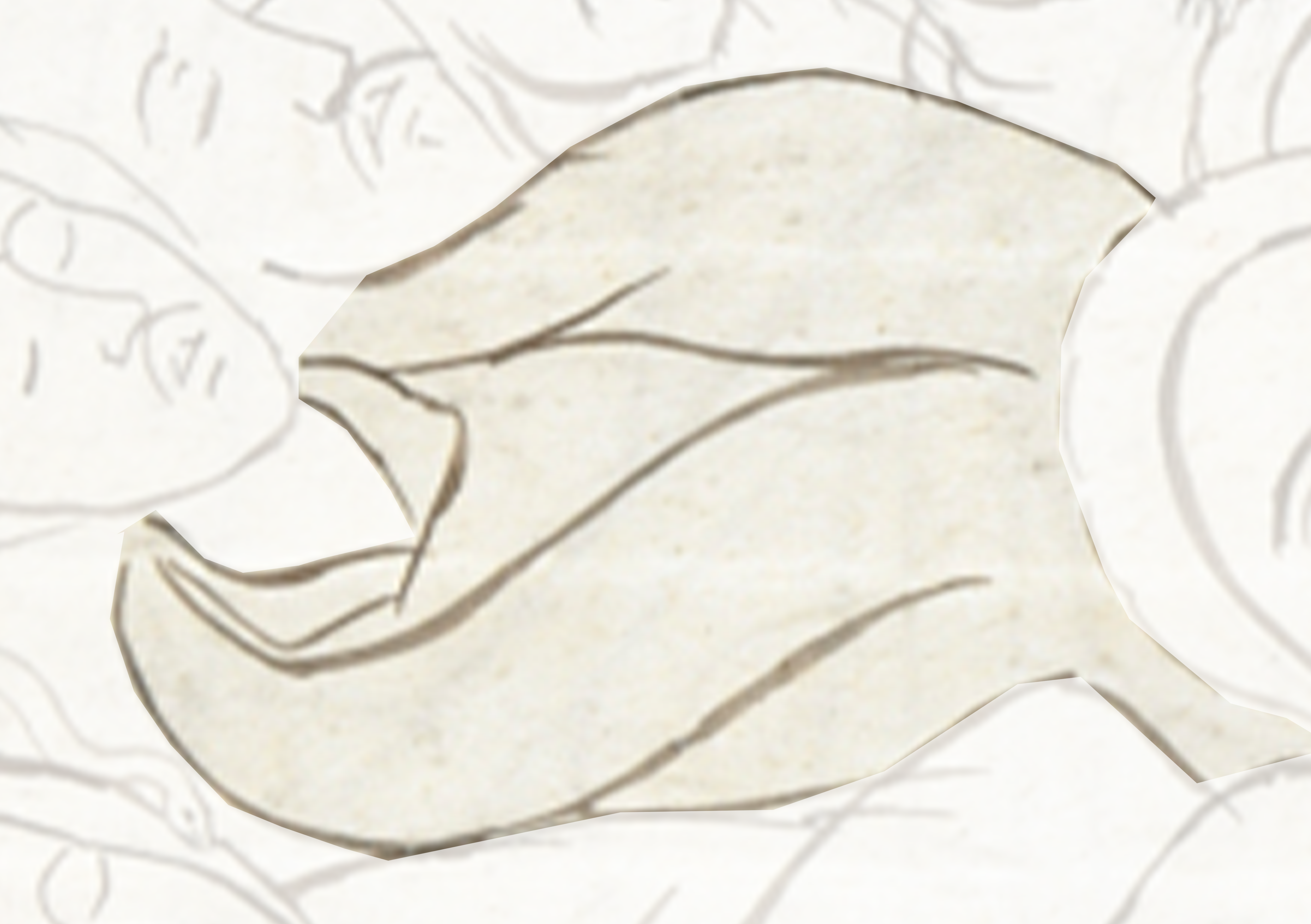 White Fish With A Long Tail And A Long Tail