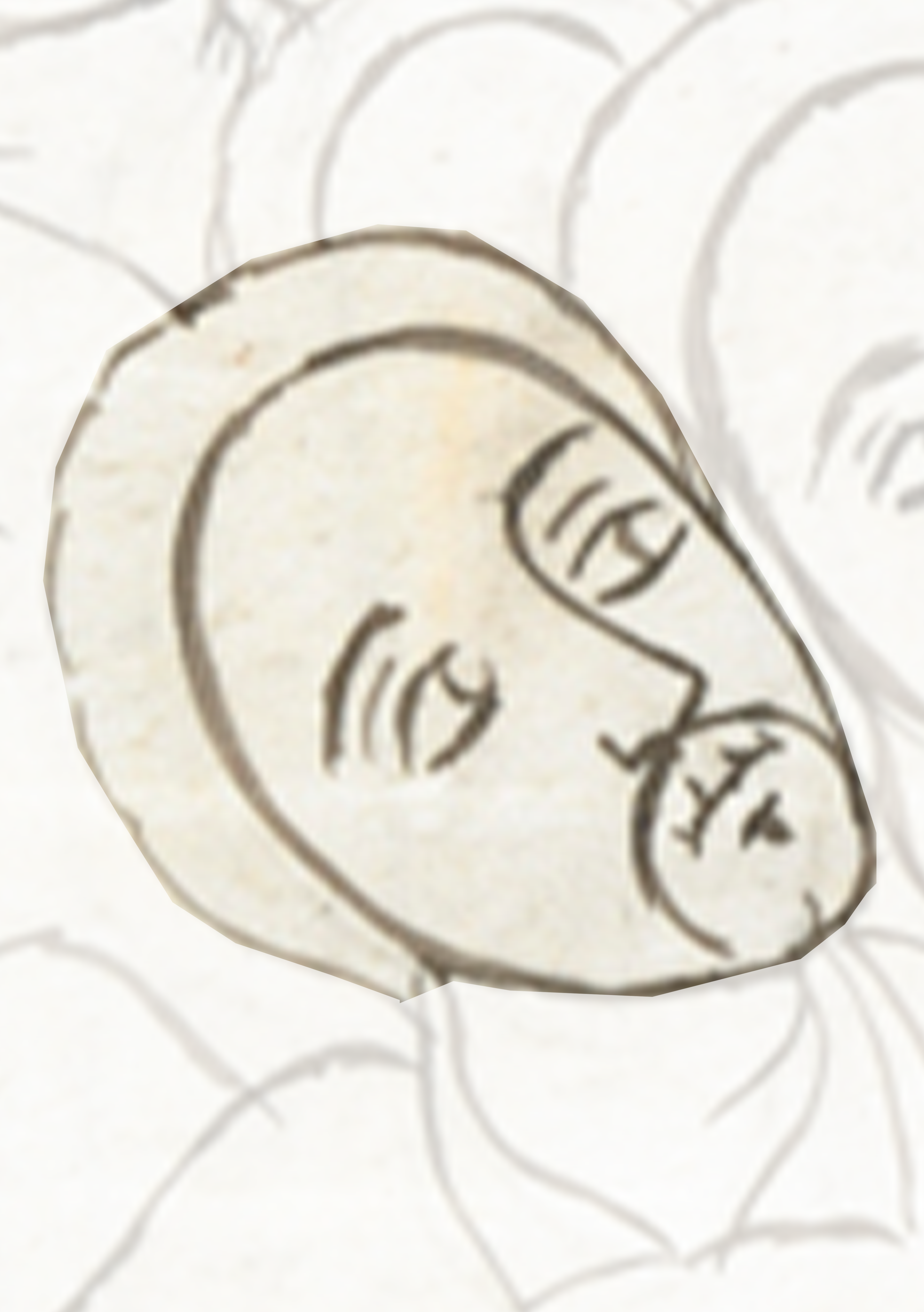 Stone With A Face On It