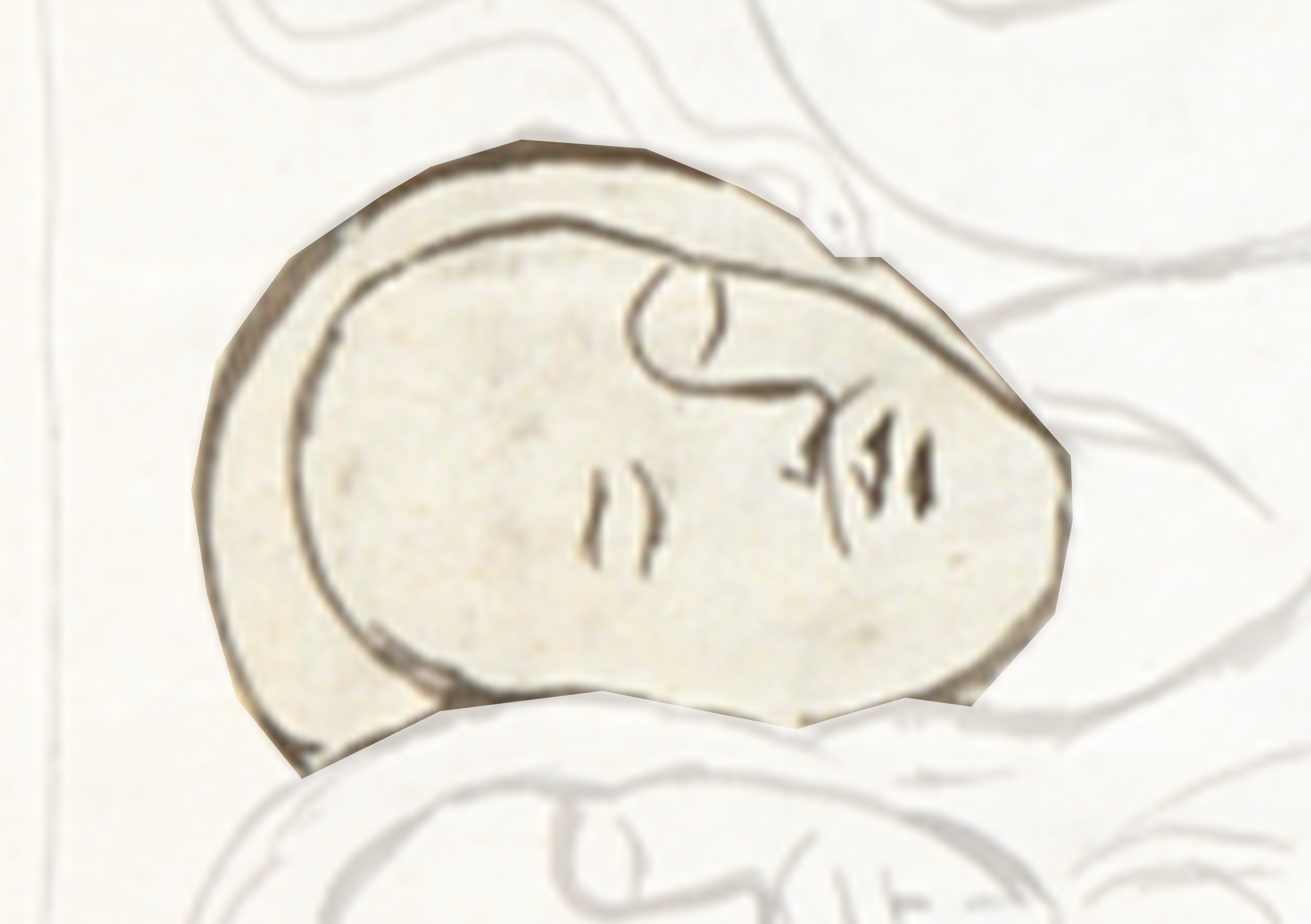 Drawing Of A Man S Face