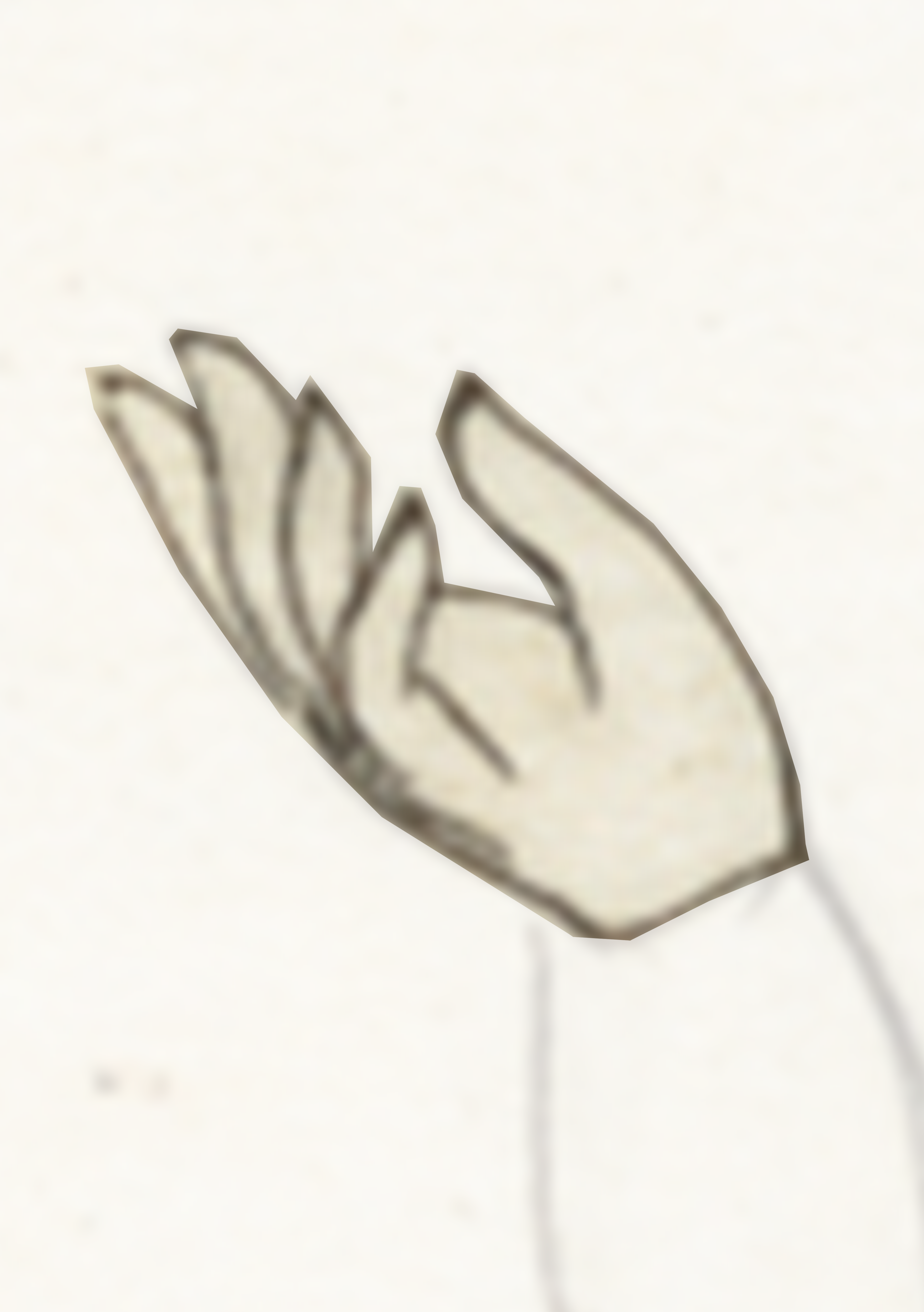 Drawing Of A Leaf On A White Surface