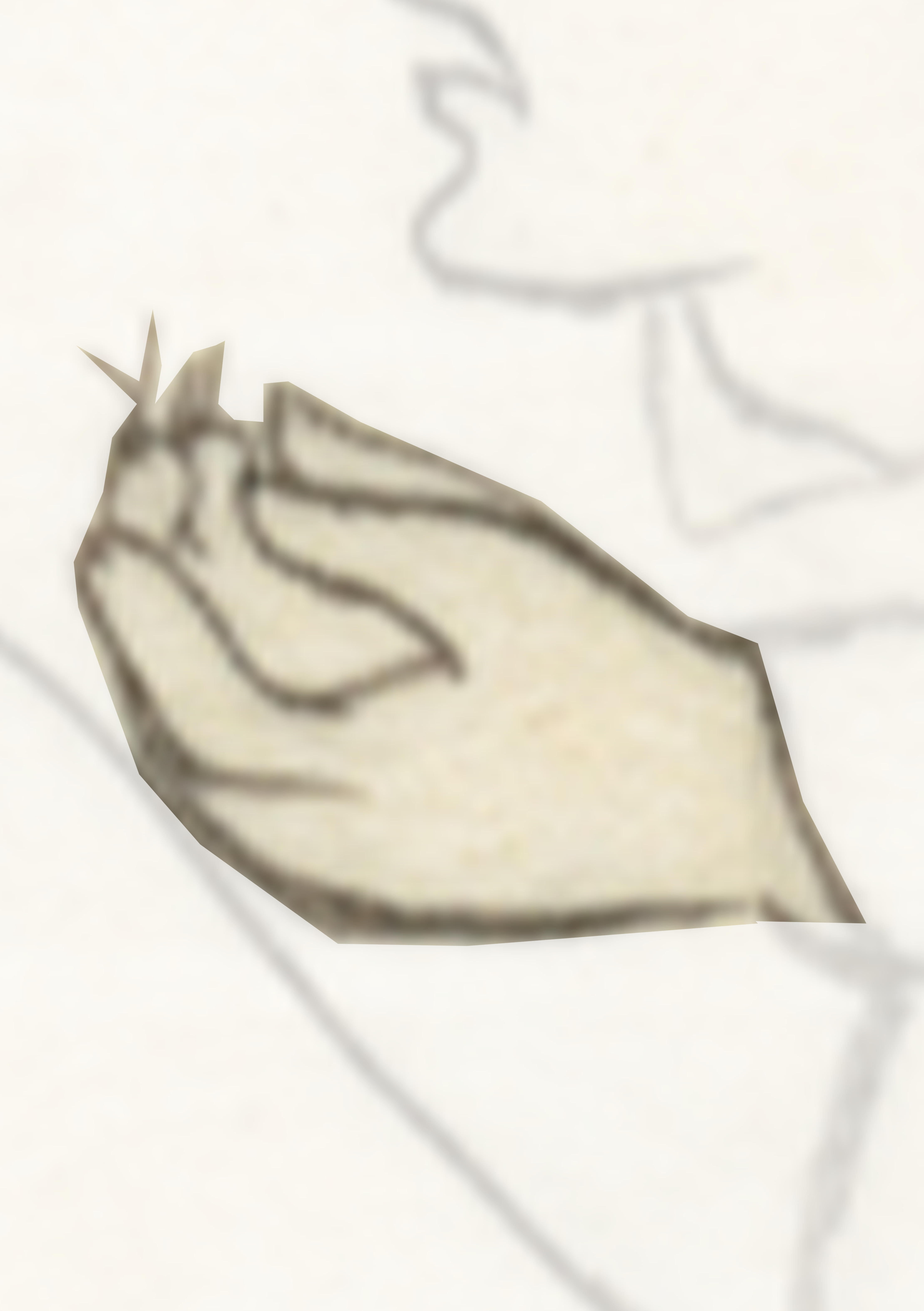 Drawing Of A Bird On A White Background
