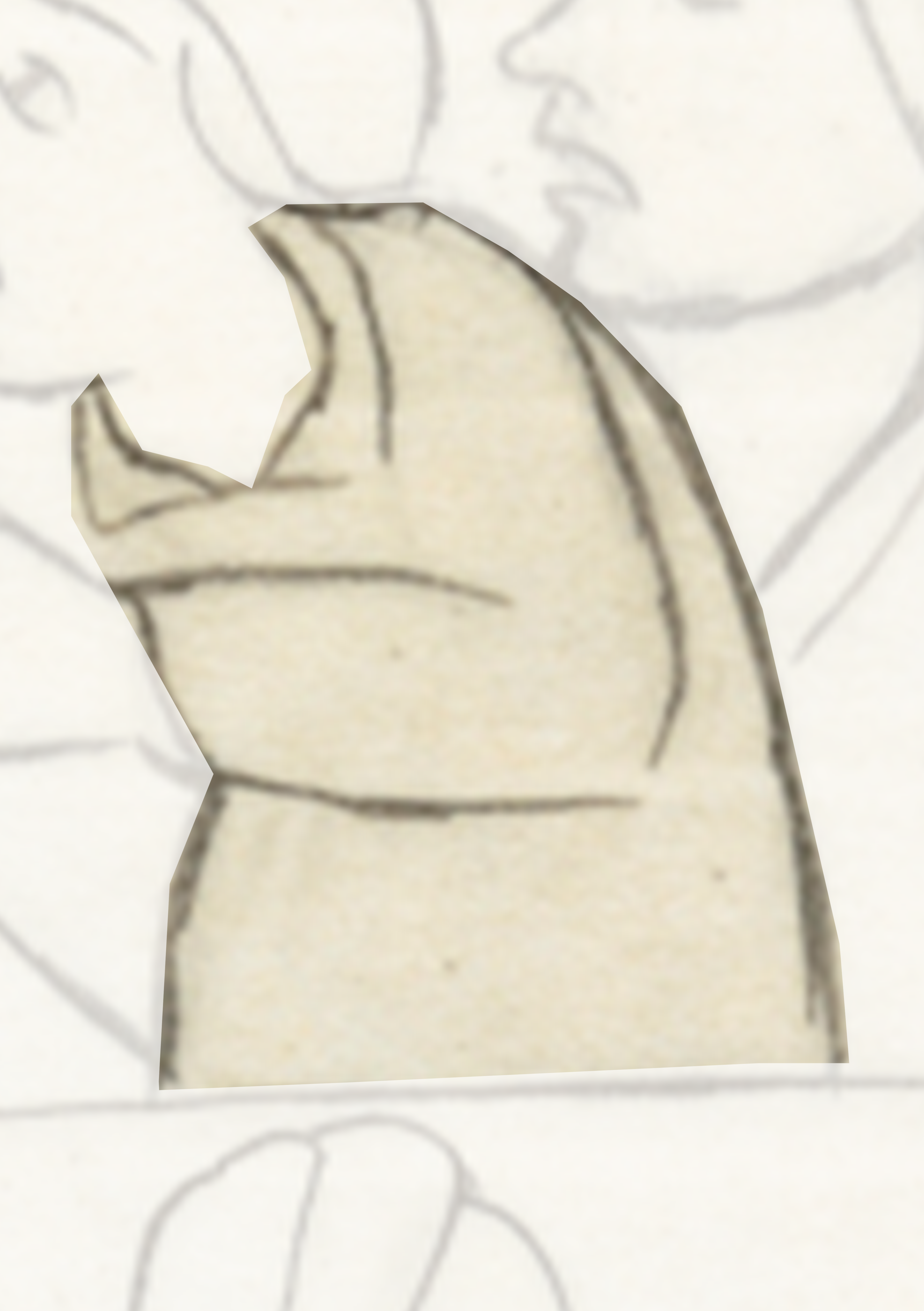 Drawing Of A Bear With A White Background